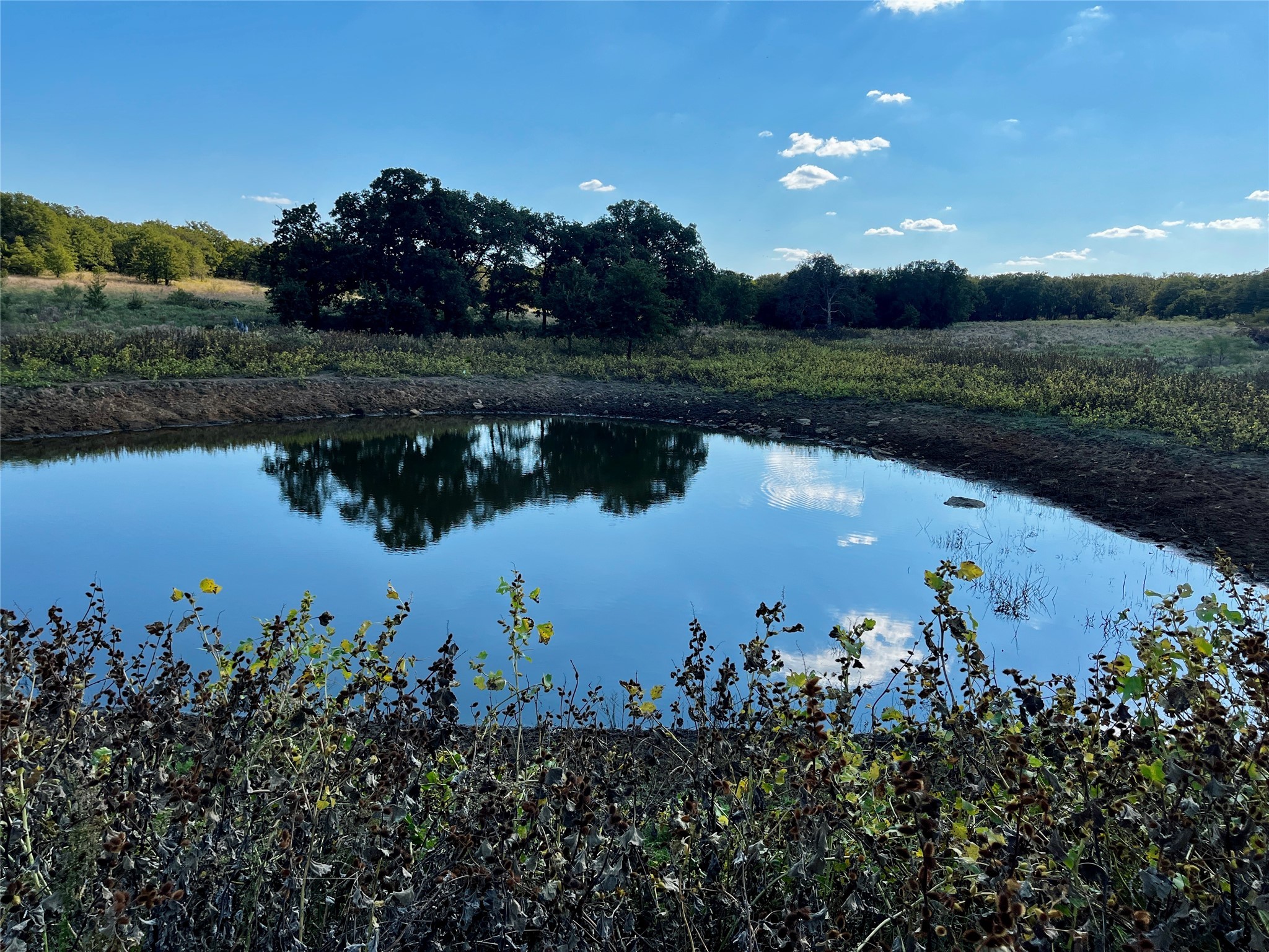 3026 S Farm To Market Road 4 Jacksboro TX 76458