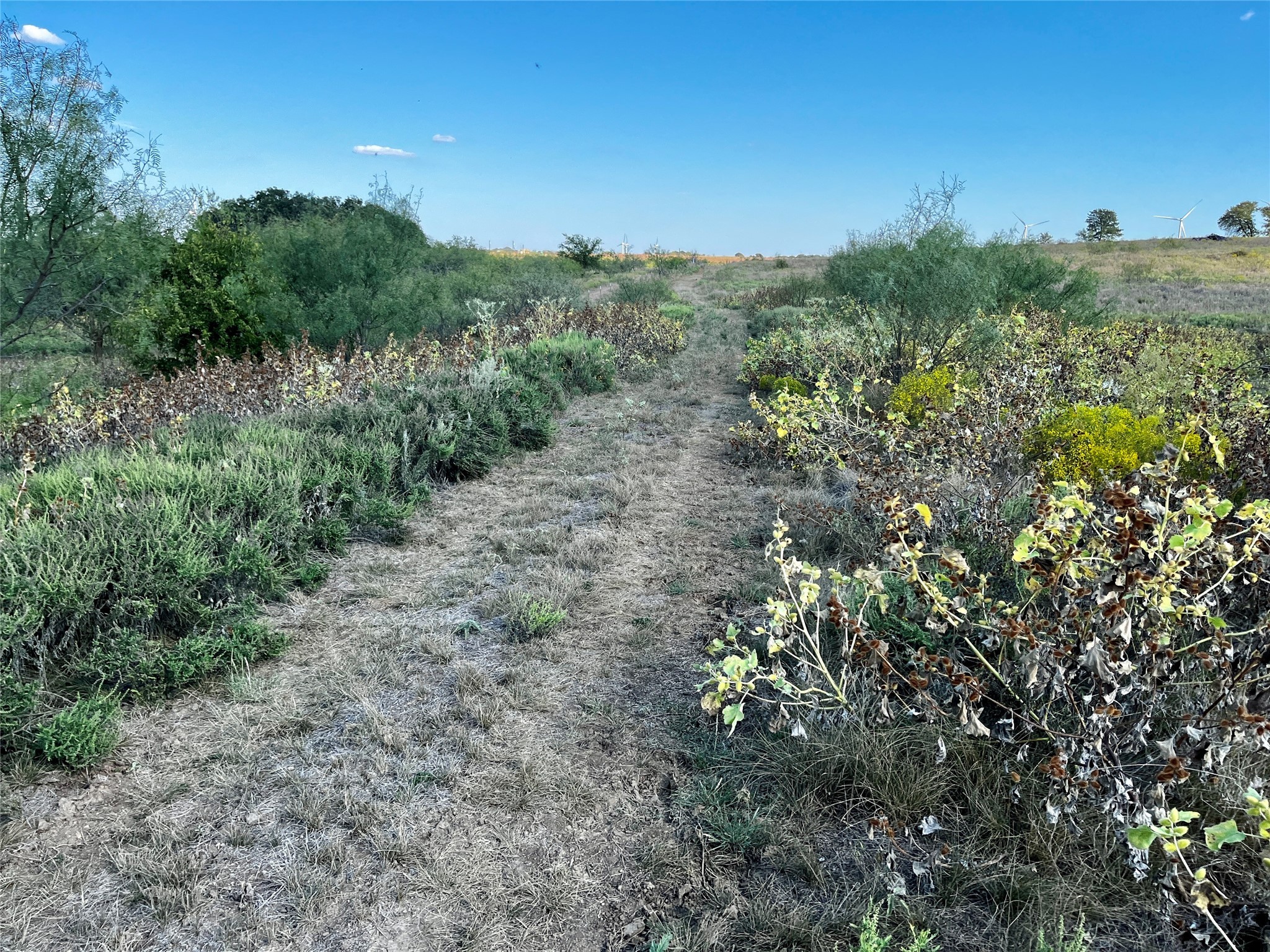 3026 S Farm To Market Road 4 Jacksboro TX 76458