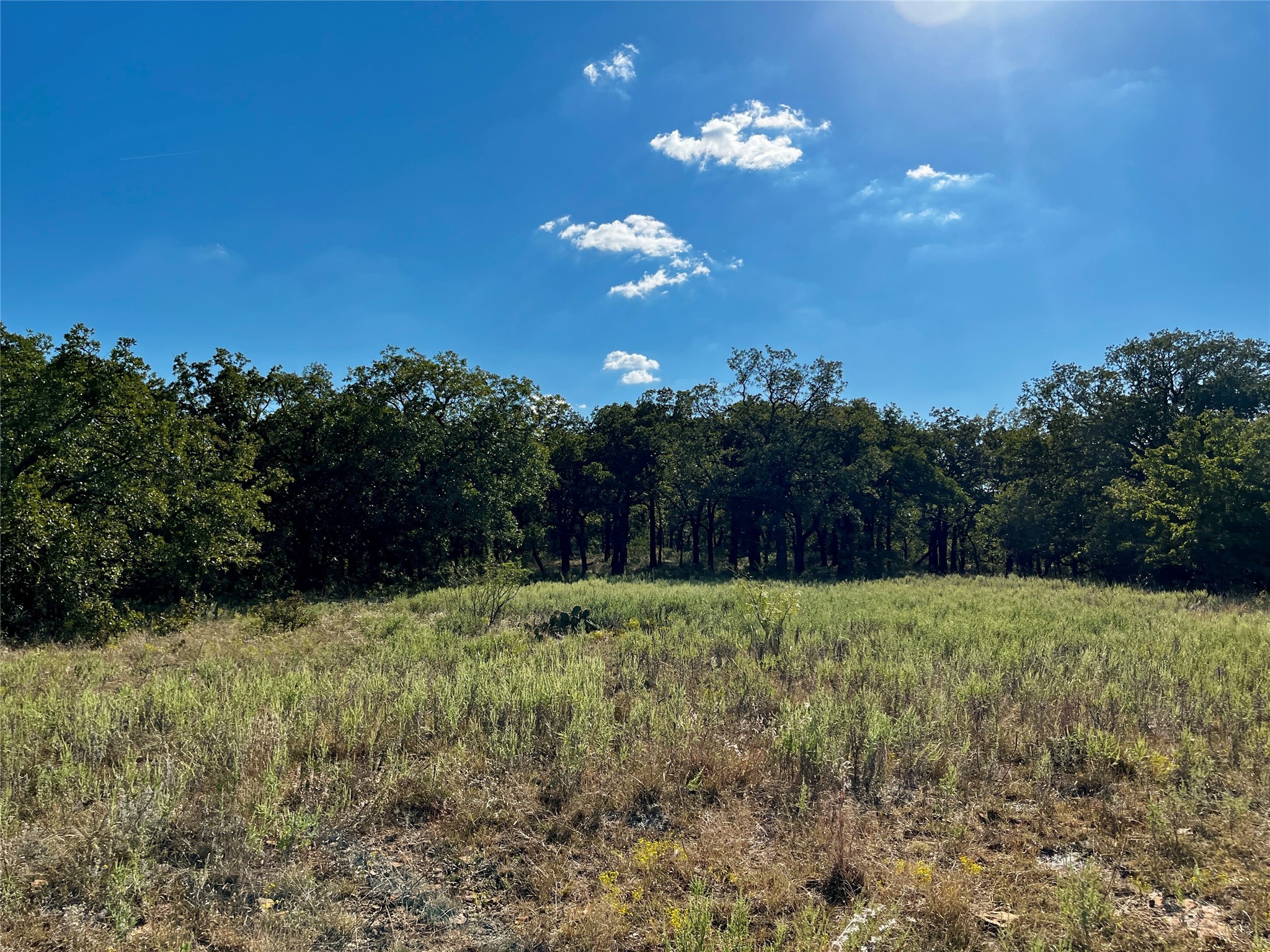 3026 S Farm To Market Road 4 Jacksboro TX 76458