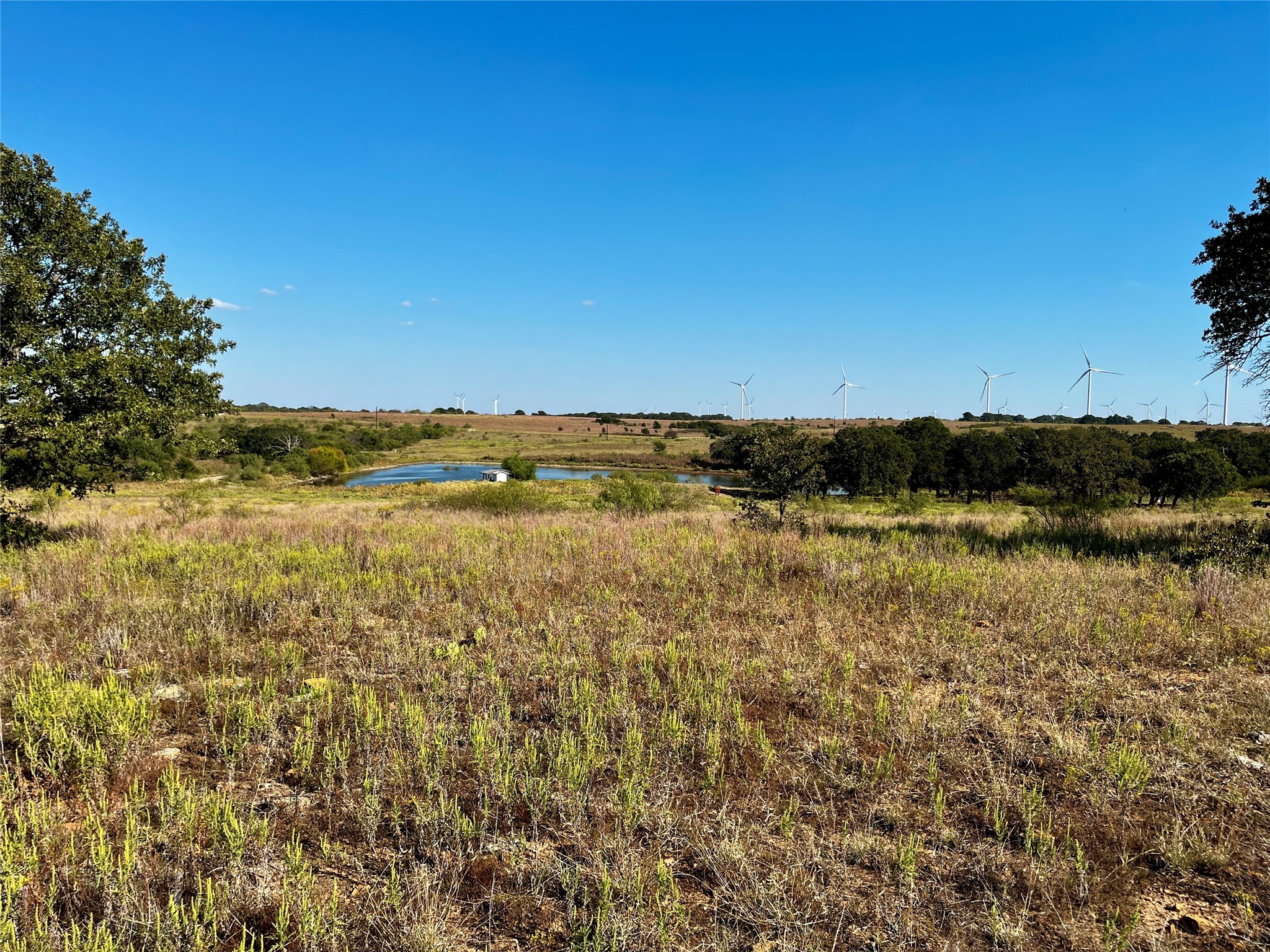 3026 S Farm To Market Road 4 Jacksboro TX 76458