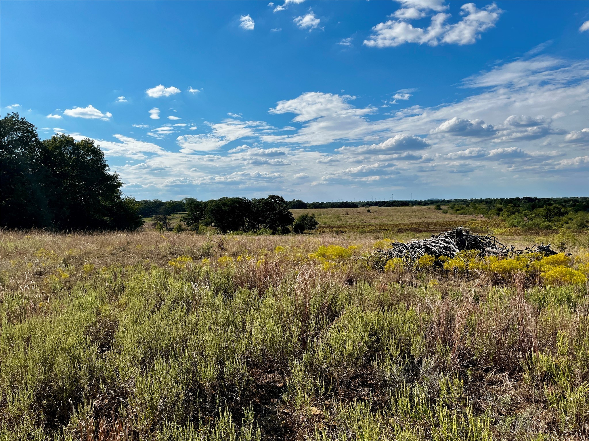 3026 S Farm To Market Road 4 Jacksboro TX 76458