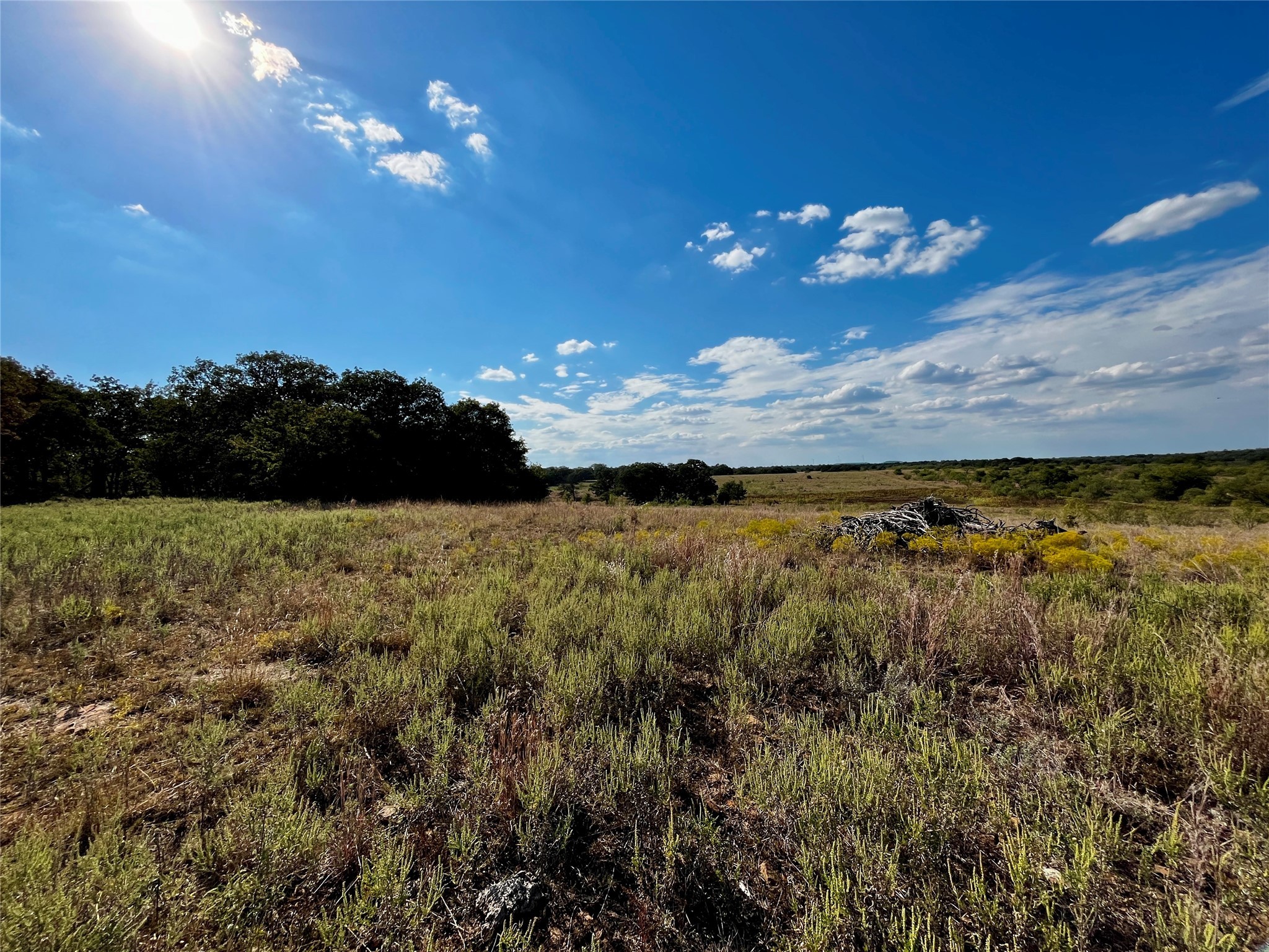 3026 S Farm To Market Road 4 Jacksboro TX 76458