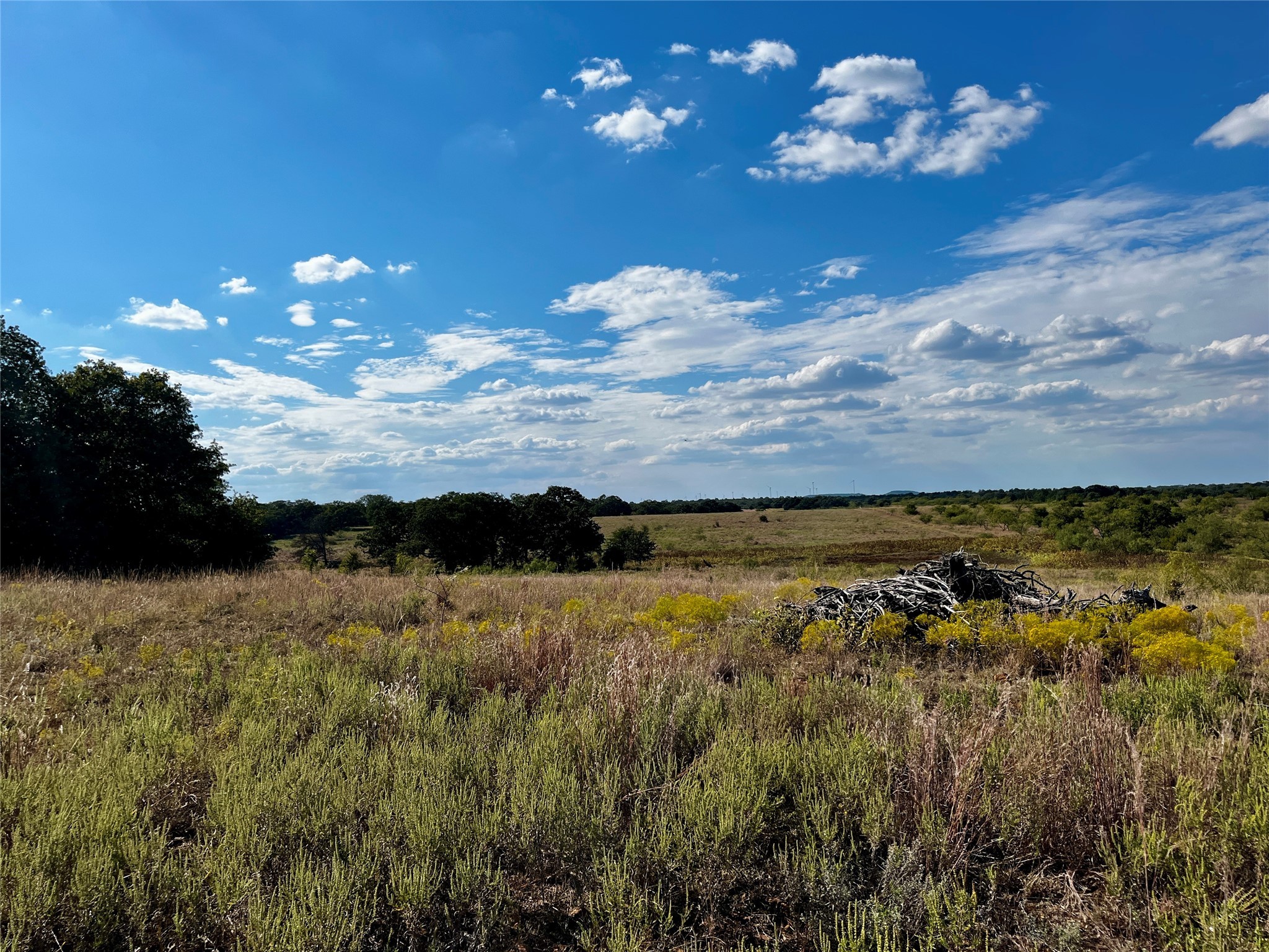 3026 S Farm To Market Road 4 Jacksboro TX 76458
