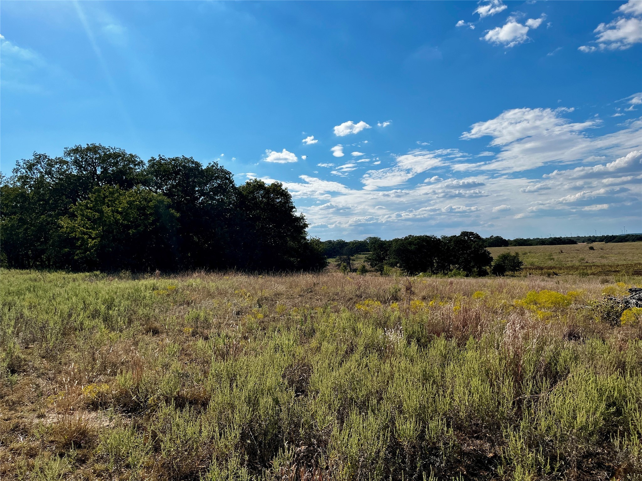 3026 S Farm To Market Road 4 Jacksboro TX 76458