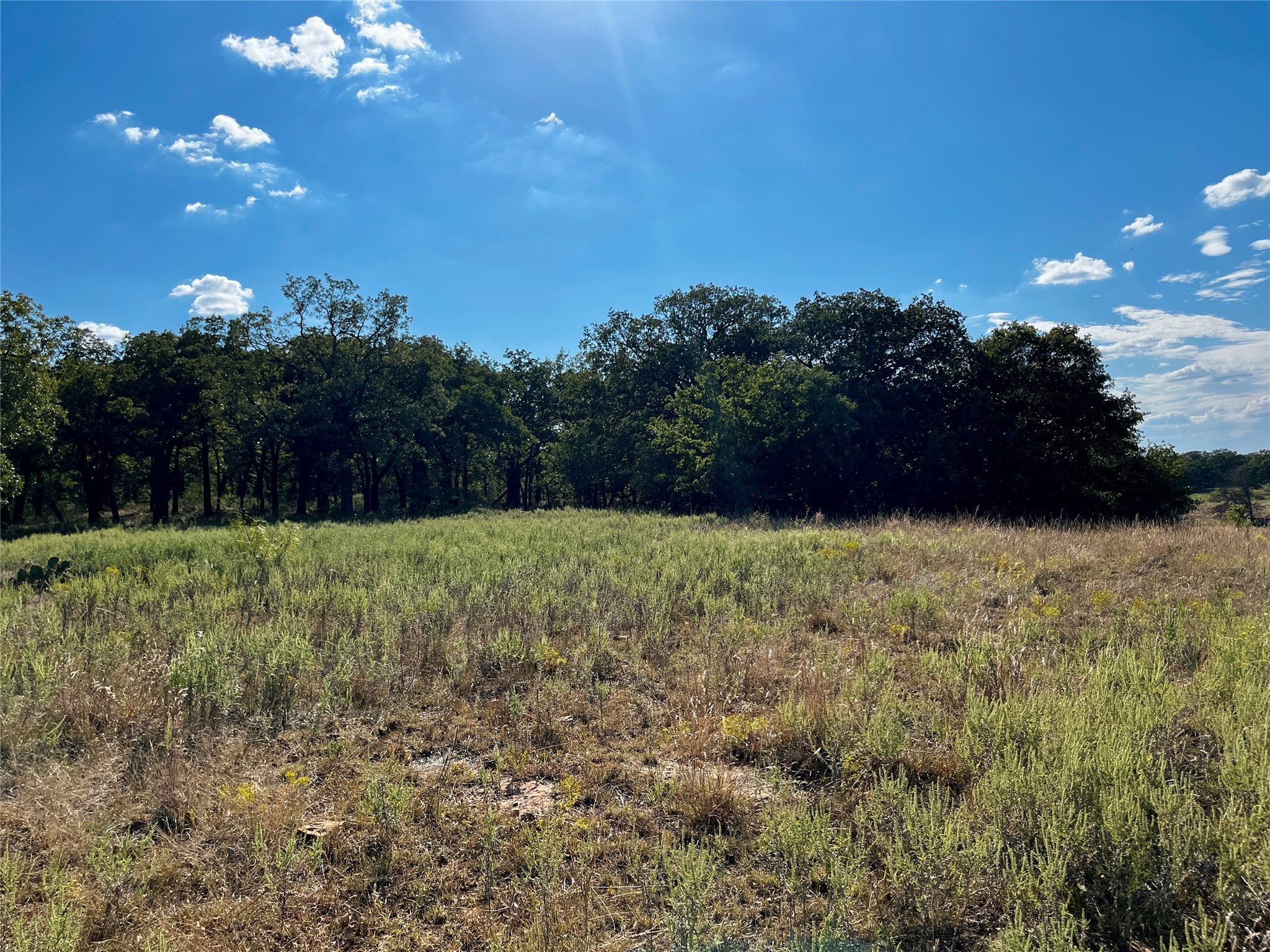 3026 S Farm To Market Road 4 Jacksboro TX 76458