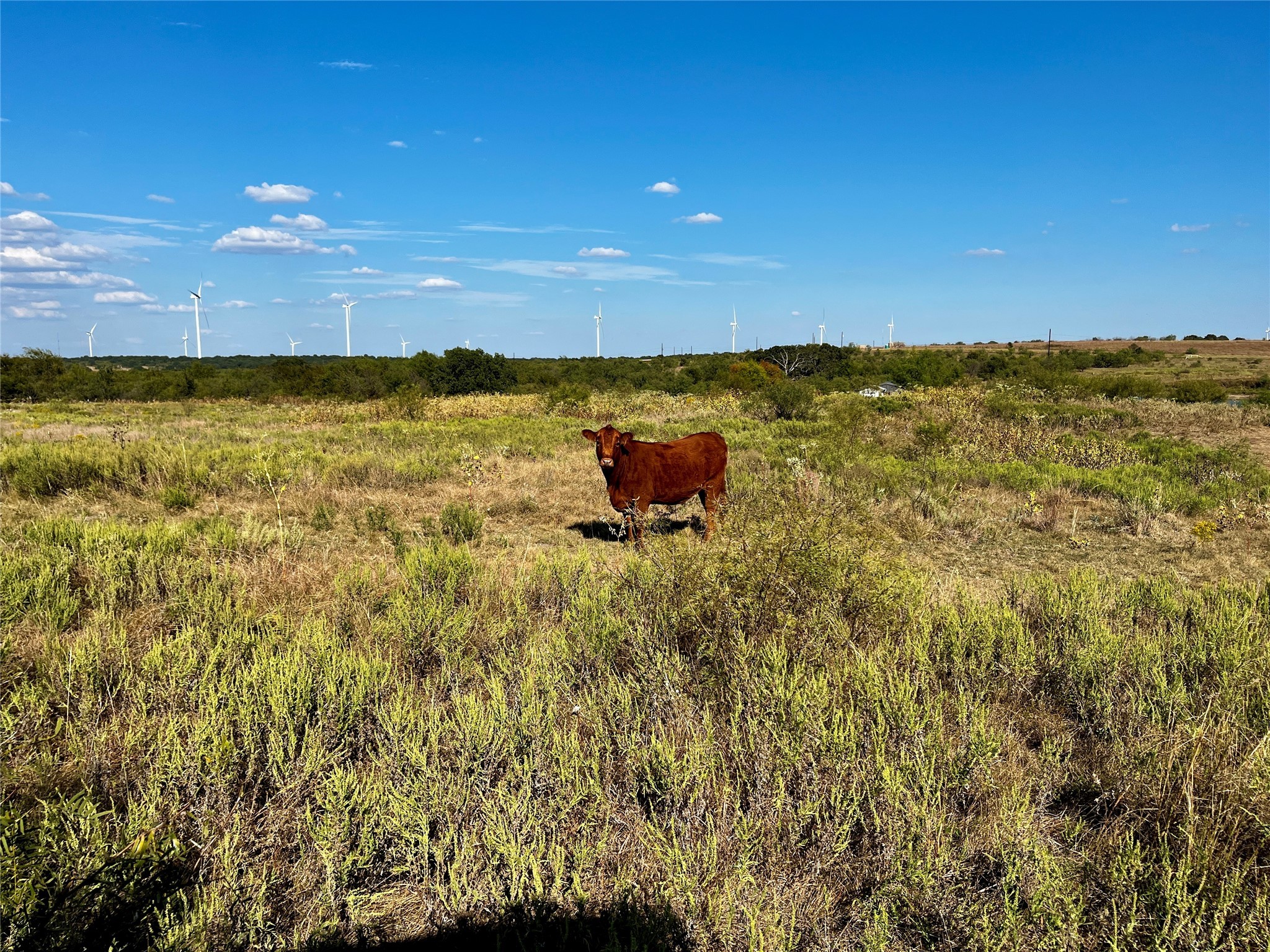 3026 S Farm To Market Road 4 Jacksboro TX 76458