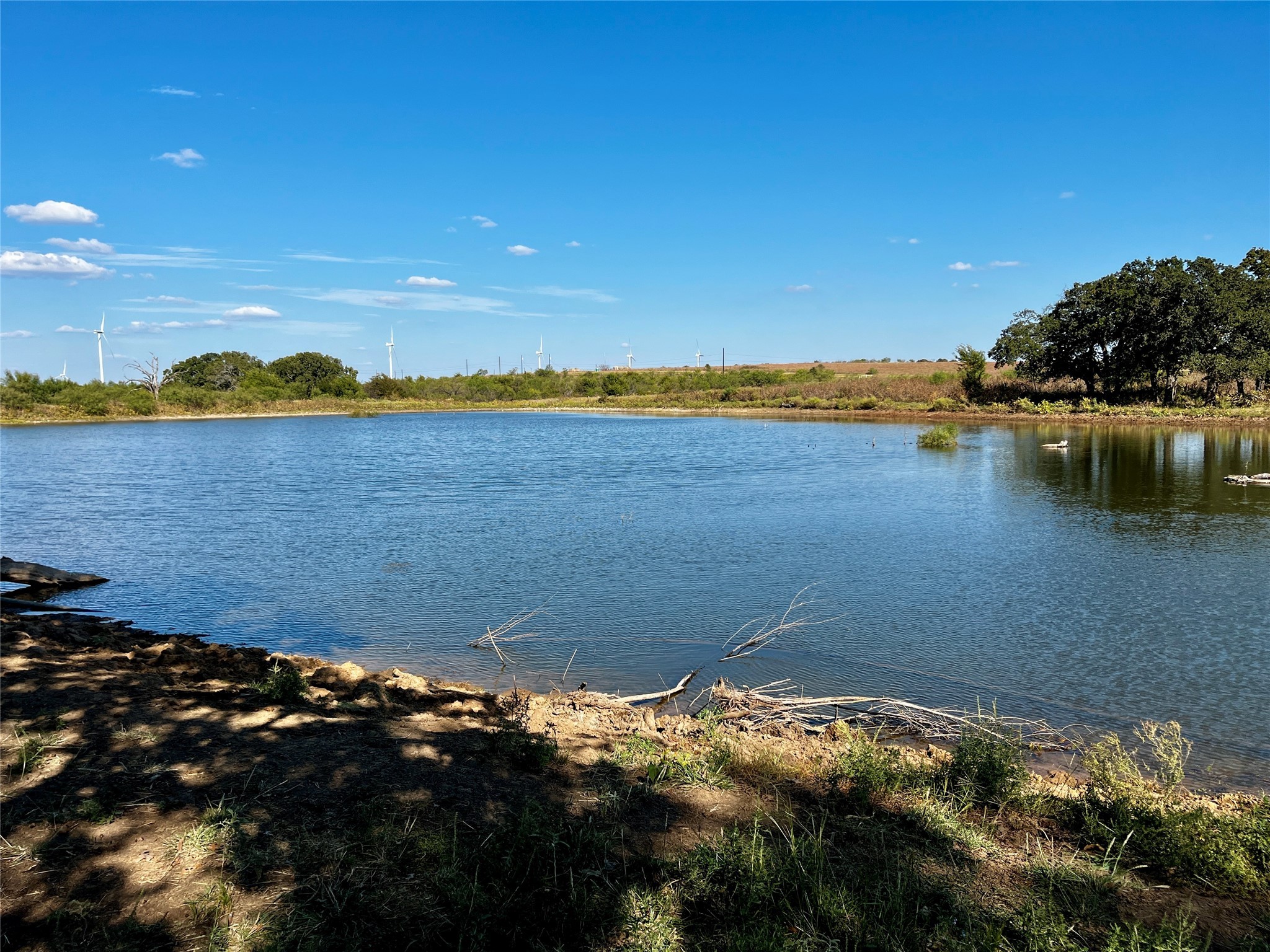 3026 S Farm To Market Road 4 Jacksboro TX 76458