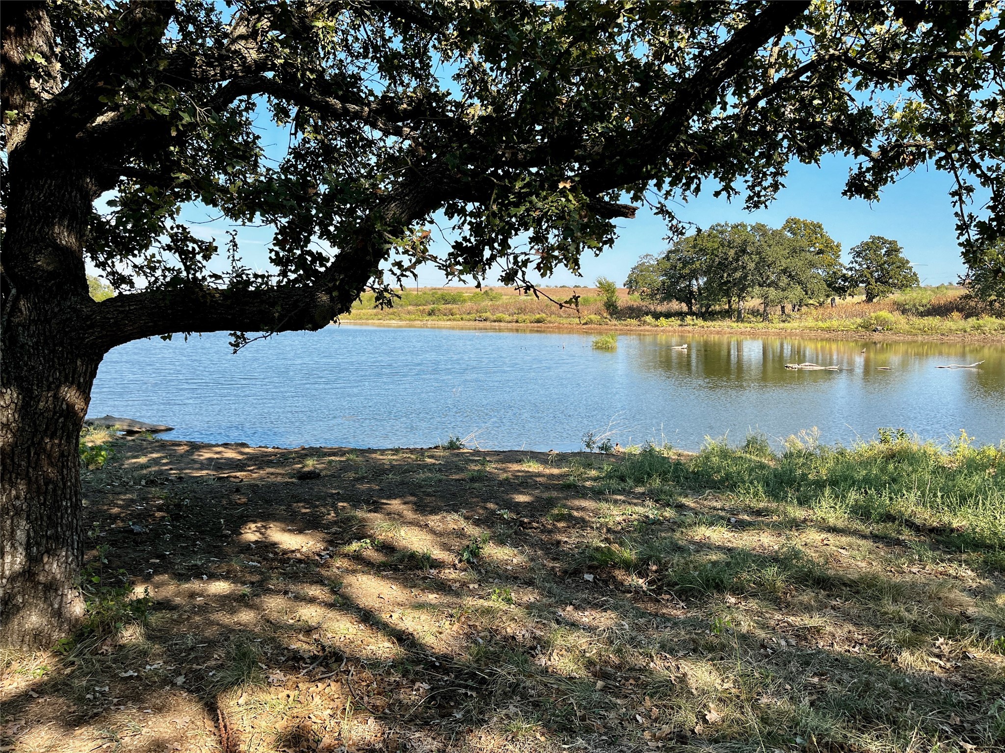 3026 S Farm To Market Road 4 Jacksboro TX 76458