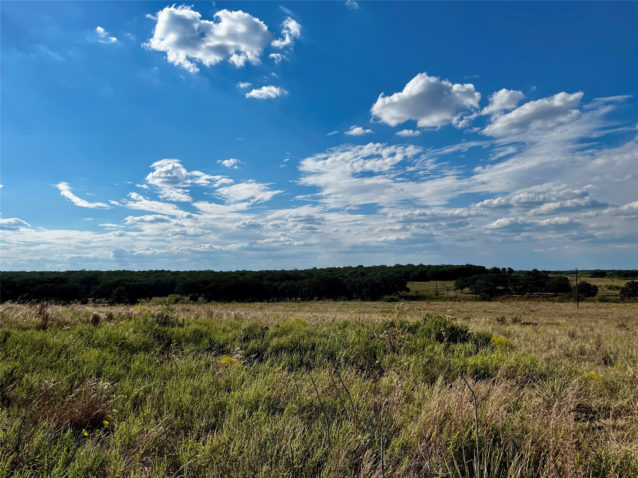 3026 S Farm To Market Road 4 Jacksboro TX 76458