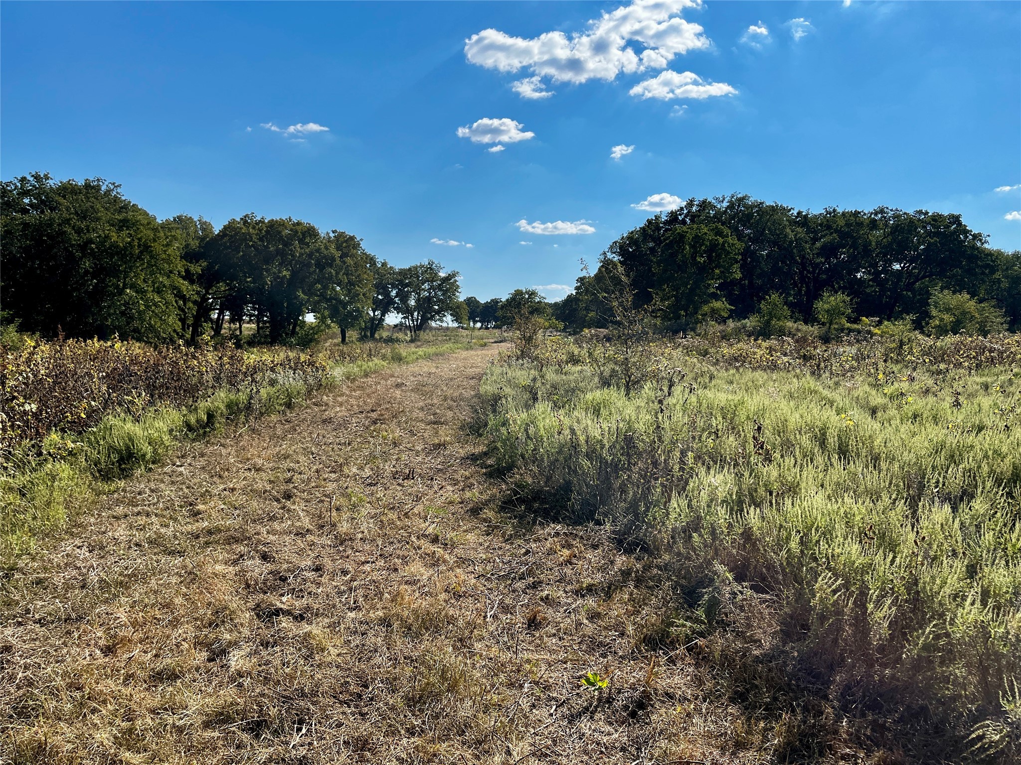 3026 S Farm To Market Road 4 Jacksboro TX 76458