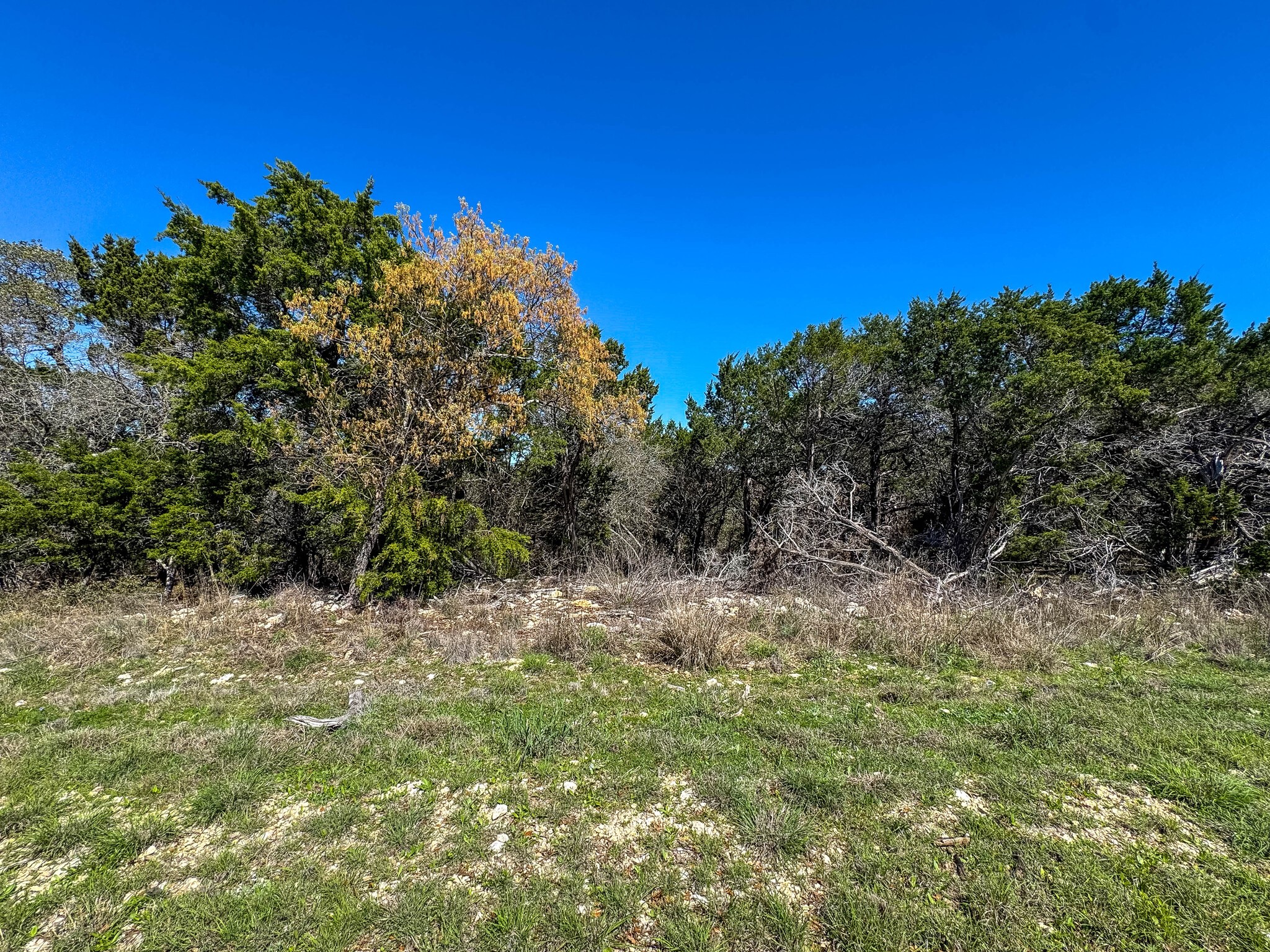 8441 Carnegie Street Cleburne TX 76033