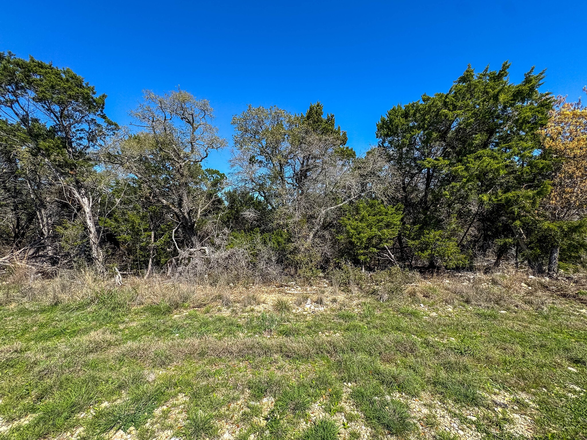 8441 Carnegie Street Cleburne TX 76033
