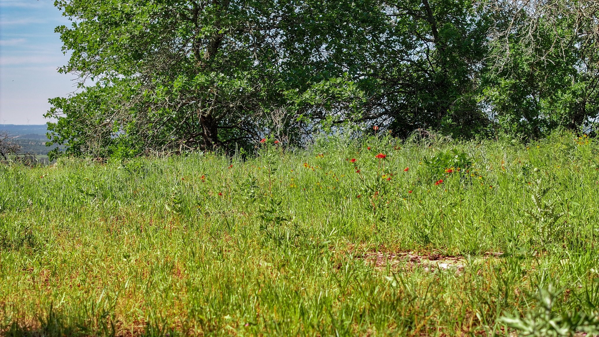 Tbd Lot 18.2 Clayton Mountain Road Gordon TX 76453