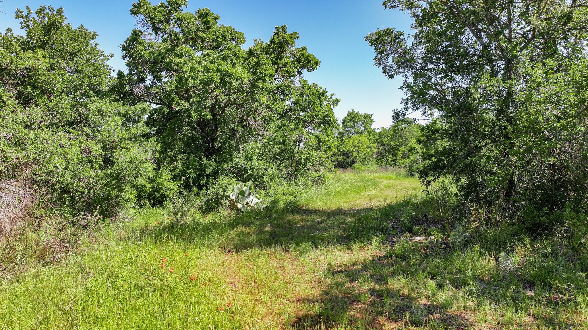 Tbd Lot 18.2 Clayton Mountain Road Gordon TX 76453