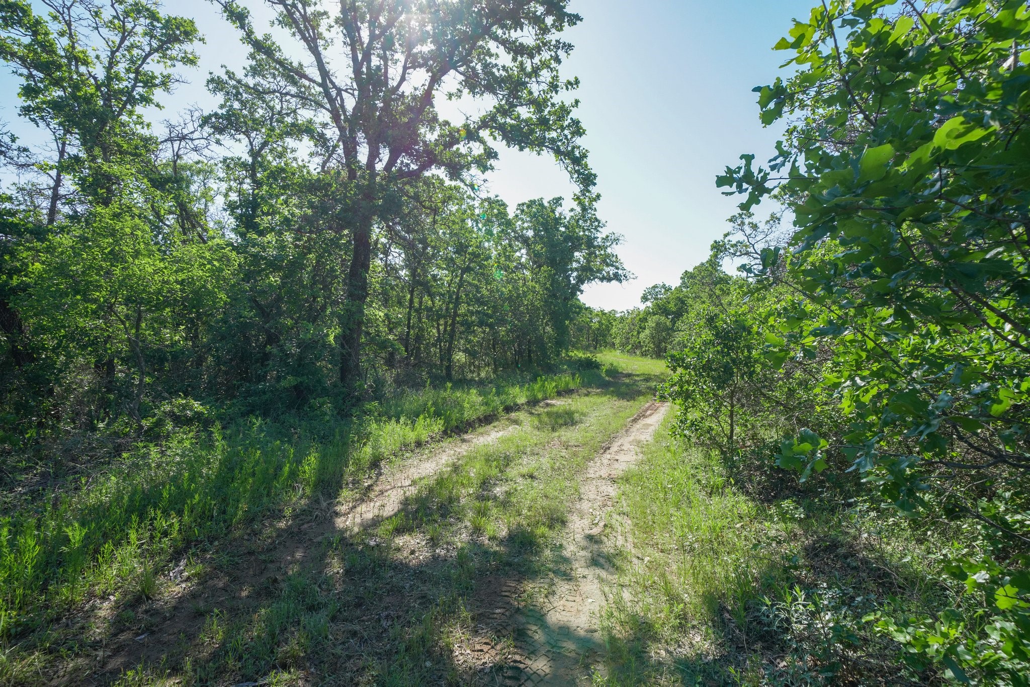 Tbd Lot 18.2 Clayton Mountain Road Gordon TX 76453