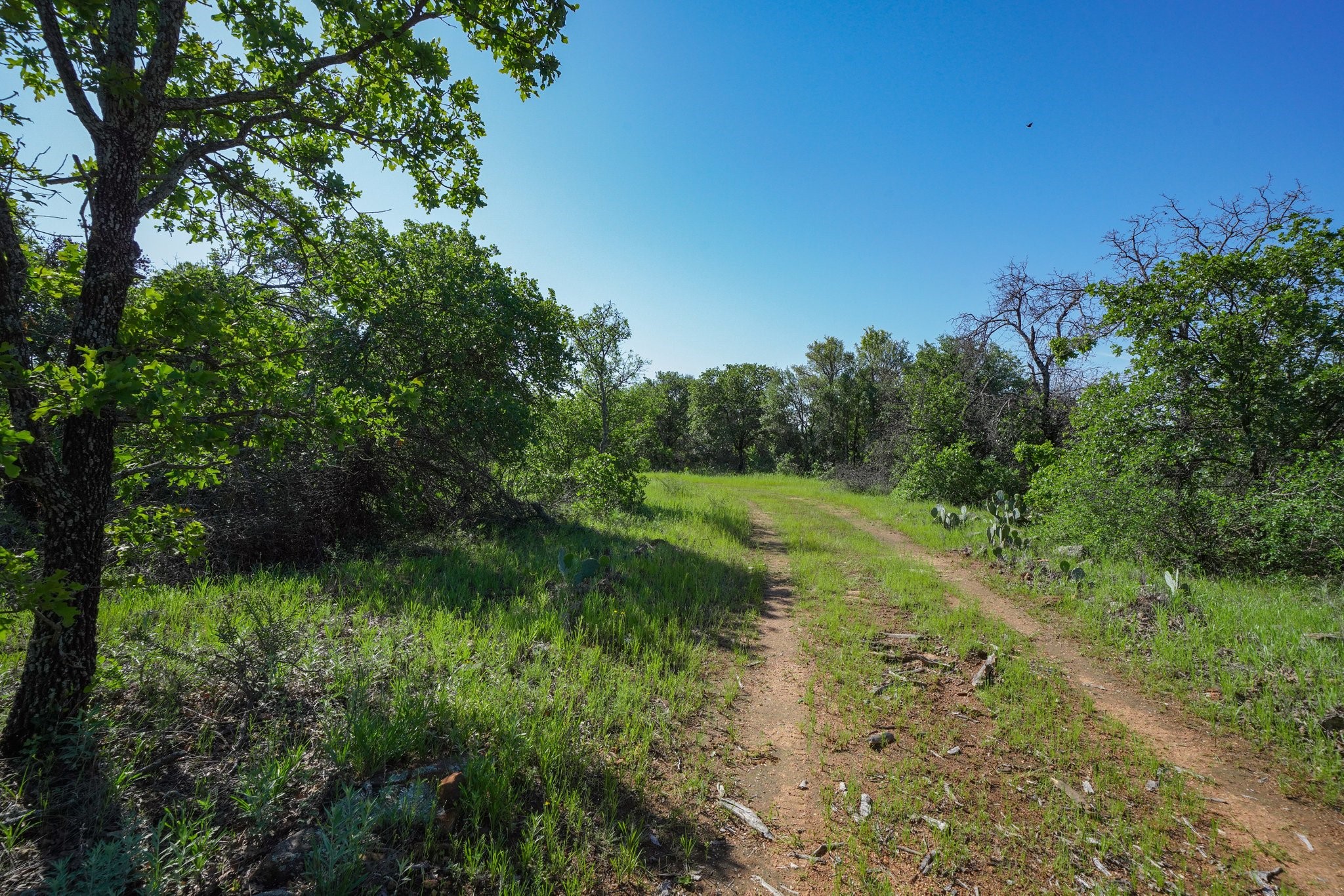 Tbd Lot 18.2 Clayton Mountain Road Gordon TX 76453