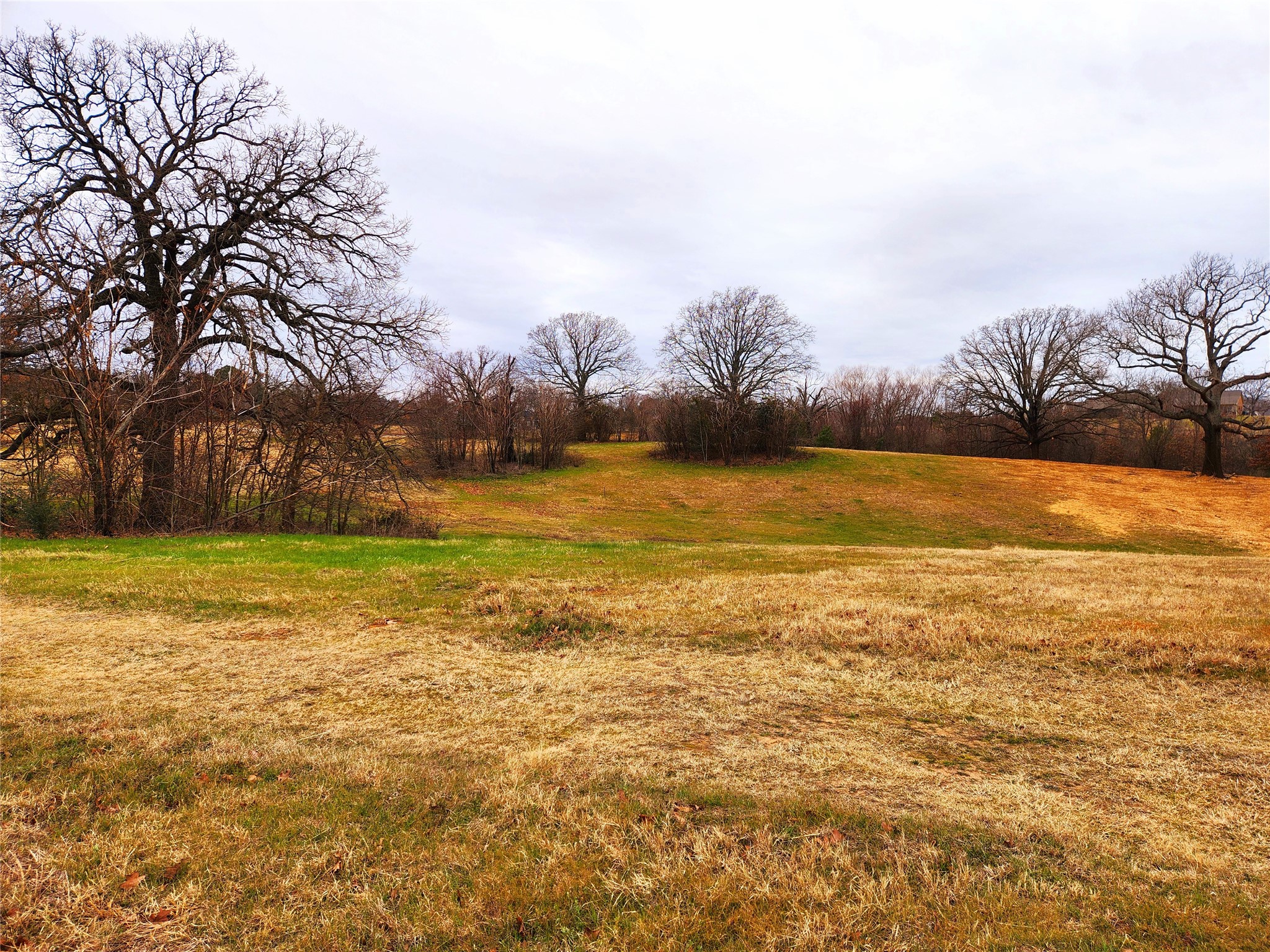 Lot 125 Clear View Court Athens TX 75752