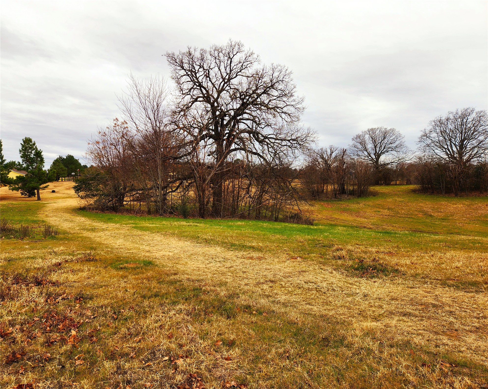 Lot 125 Clear View Court Athens TX 75752