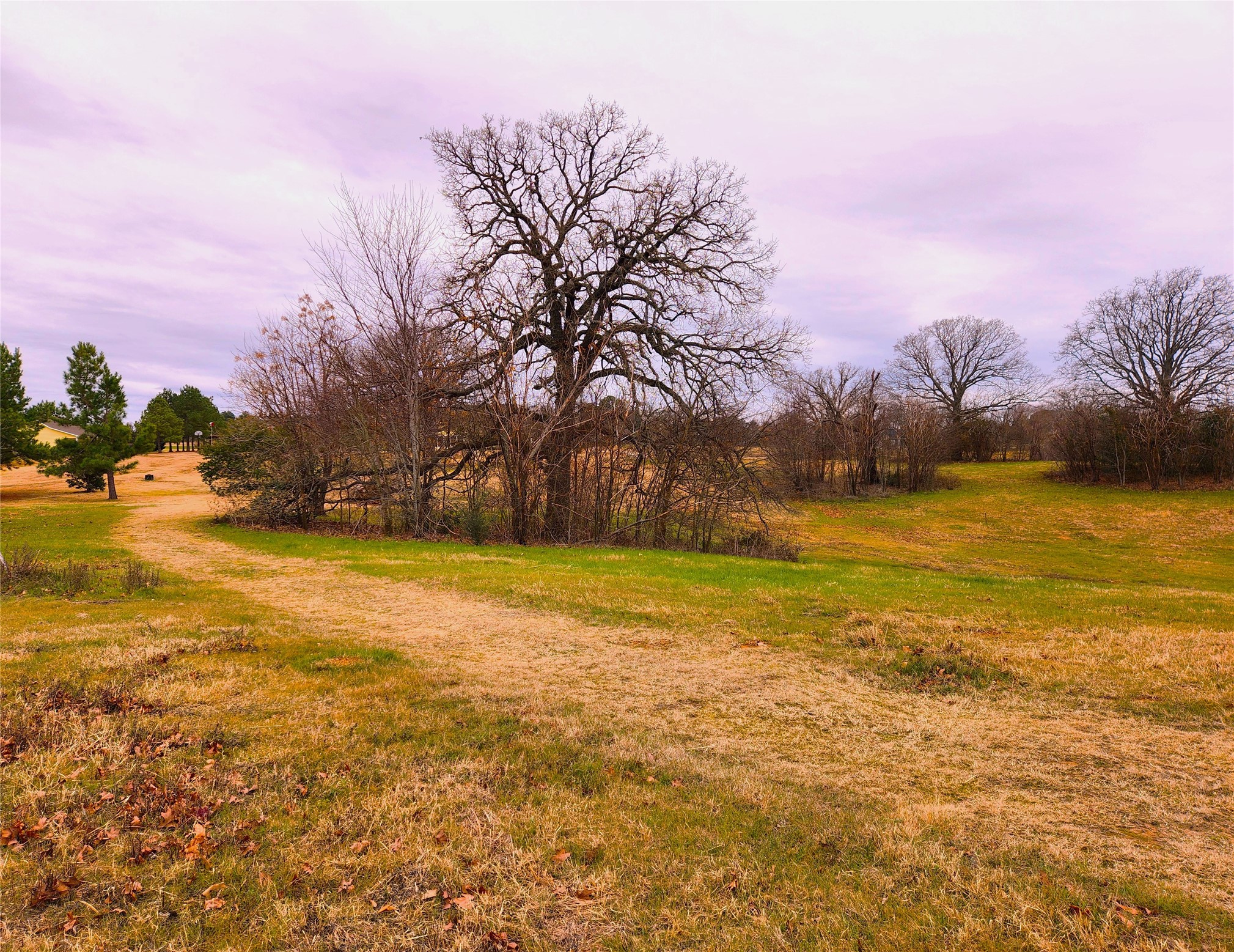 Lot 125 Clear View Court Athens TX 75752