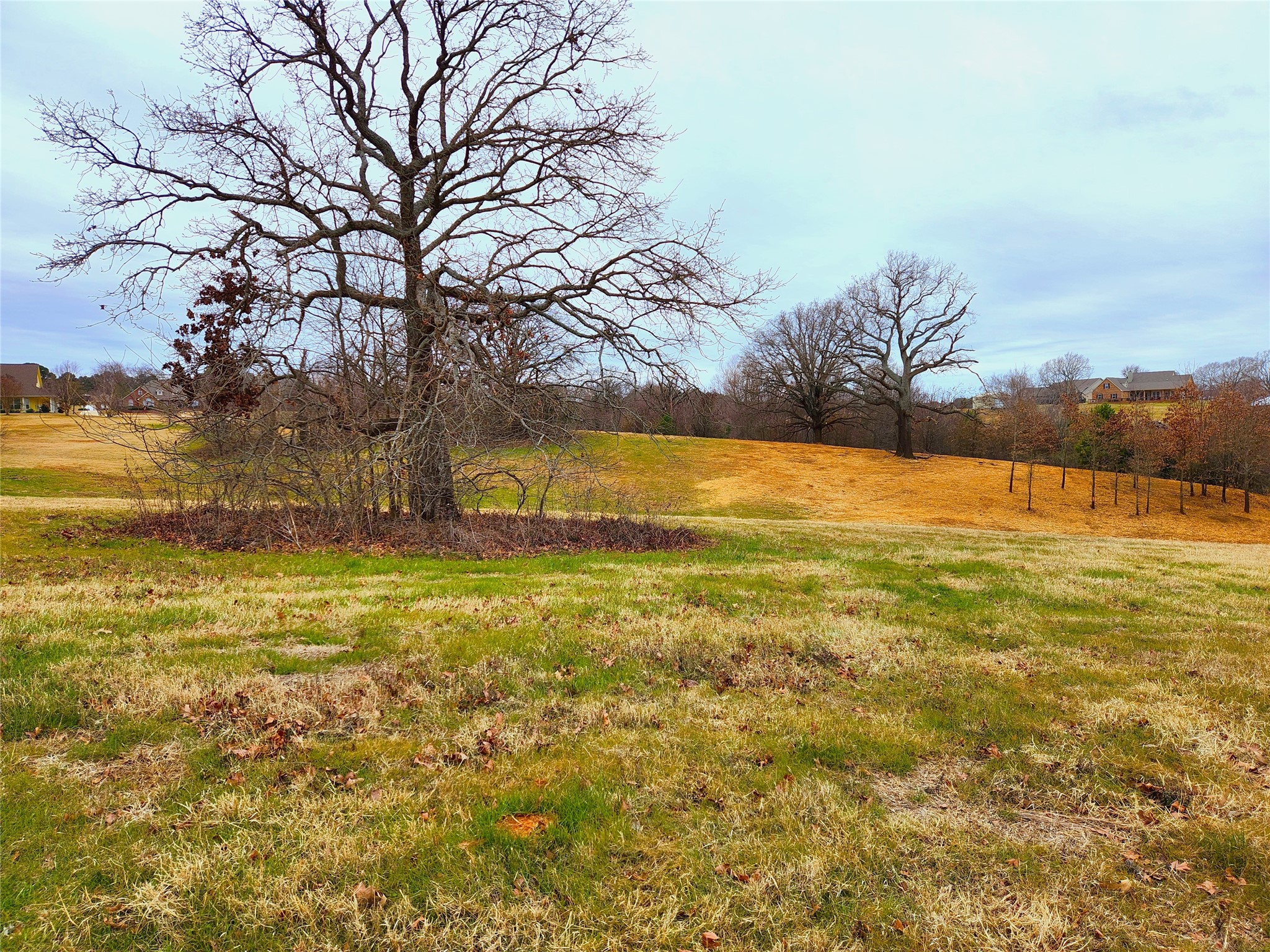Lot 125 Clear View Court Athens TX 75752