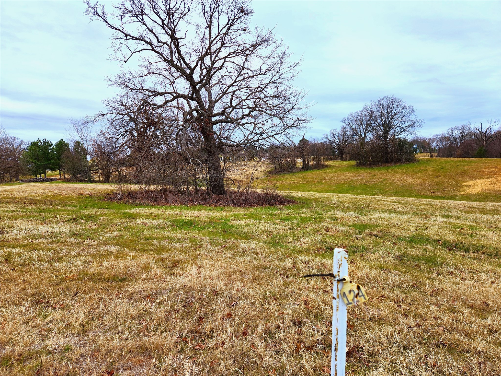 Lot 125 Clear View Court Athens TX 75752