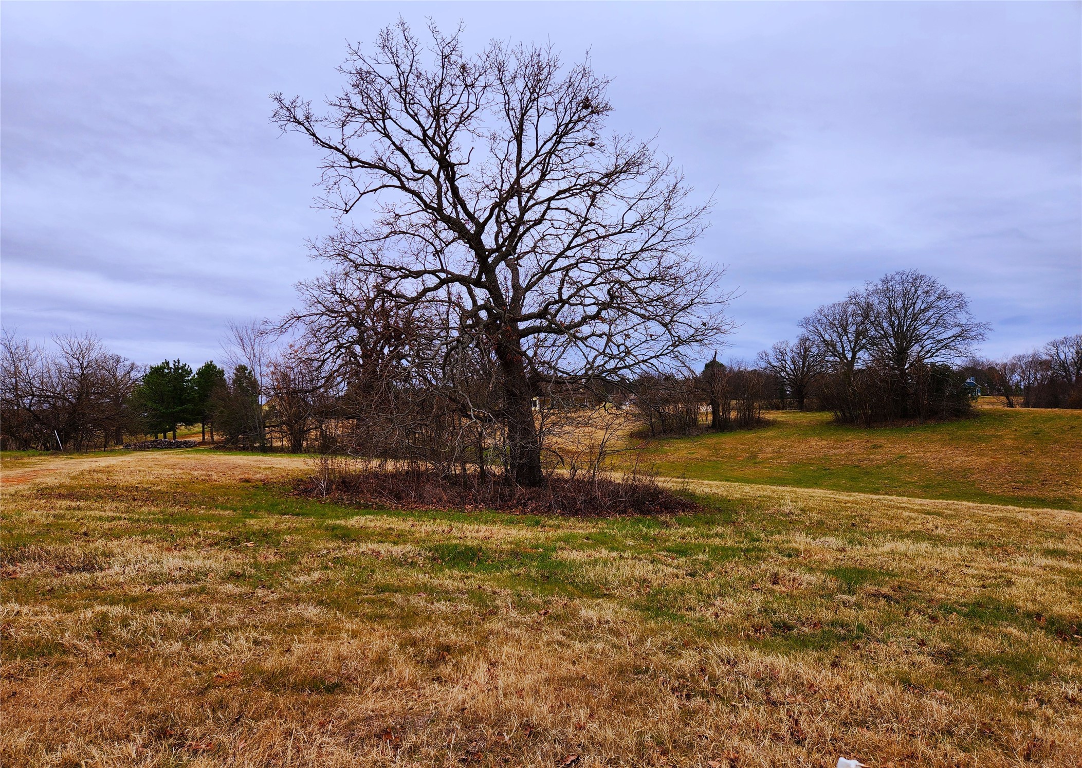 Lot 125 Clear View Court Athens TX 75752
