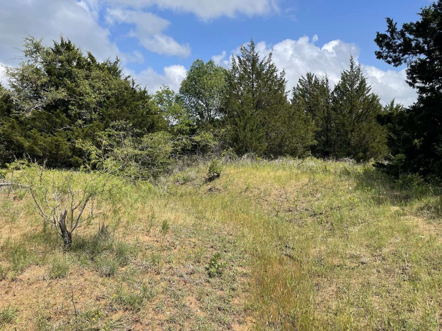 0 Cr-1990 Chico TX 76431