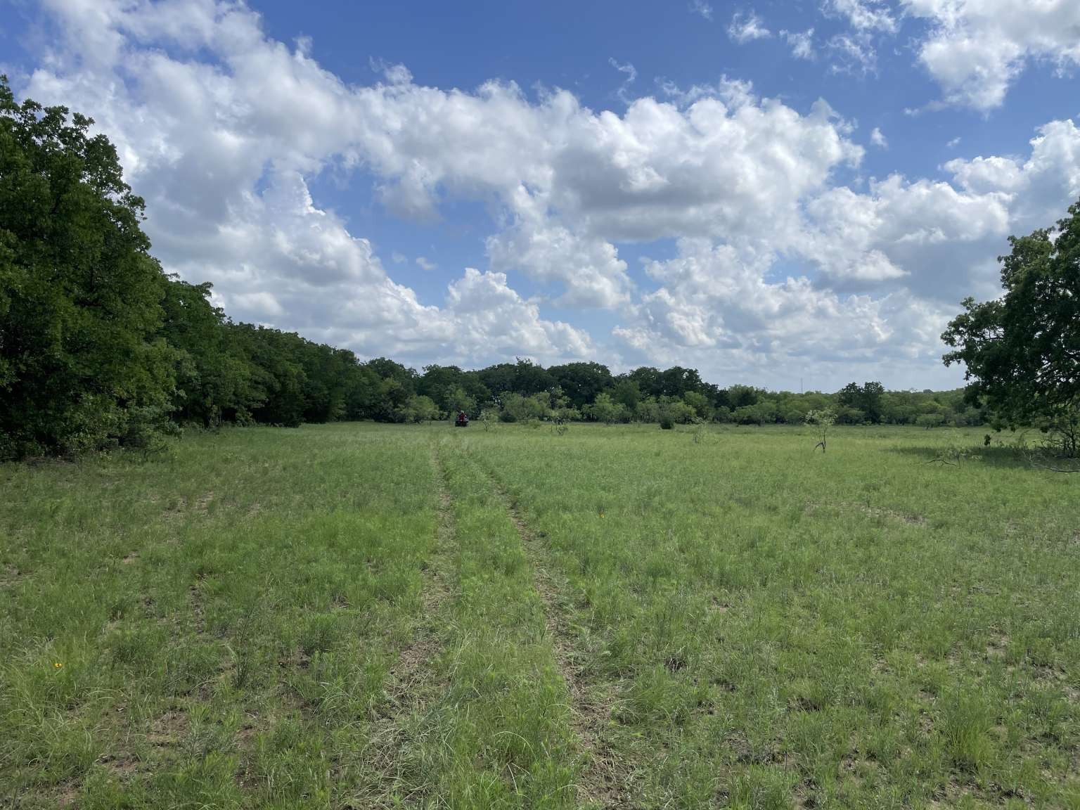 0 Cr-1990 Chico TX 76431