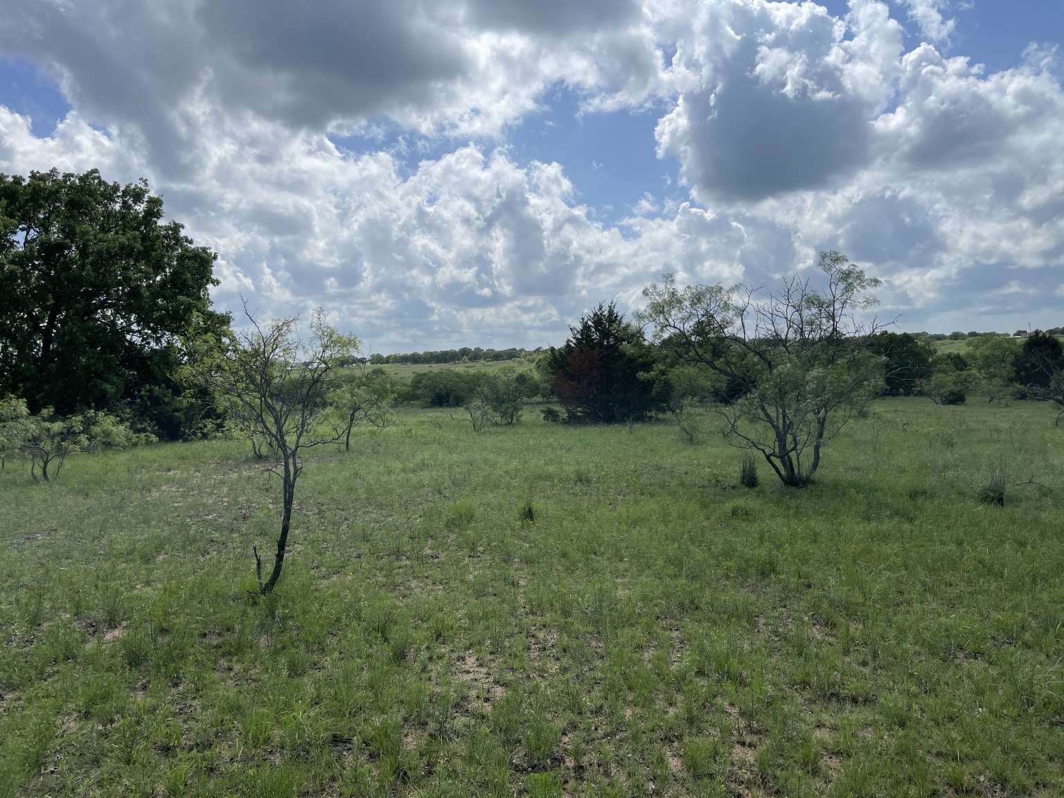 0 Cr-1990 Chico TX 76431