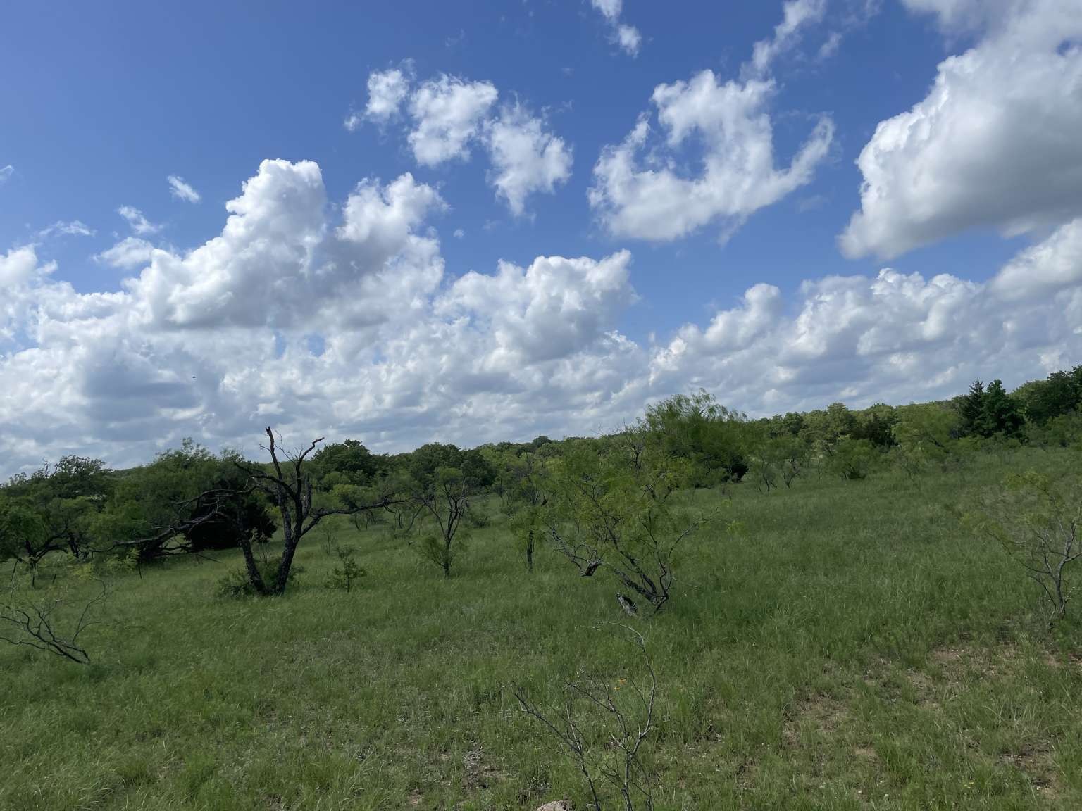 0 Cr-1990 Chico TX 76431