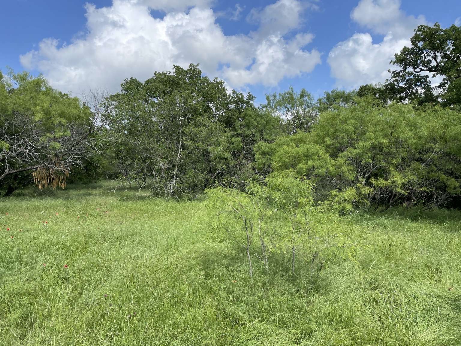 0 Cr-1990 Chico TX 76431