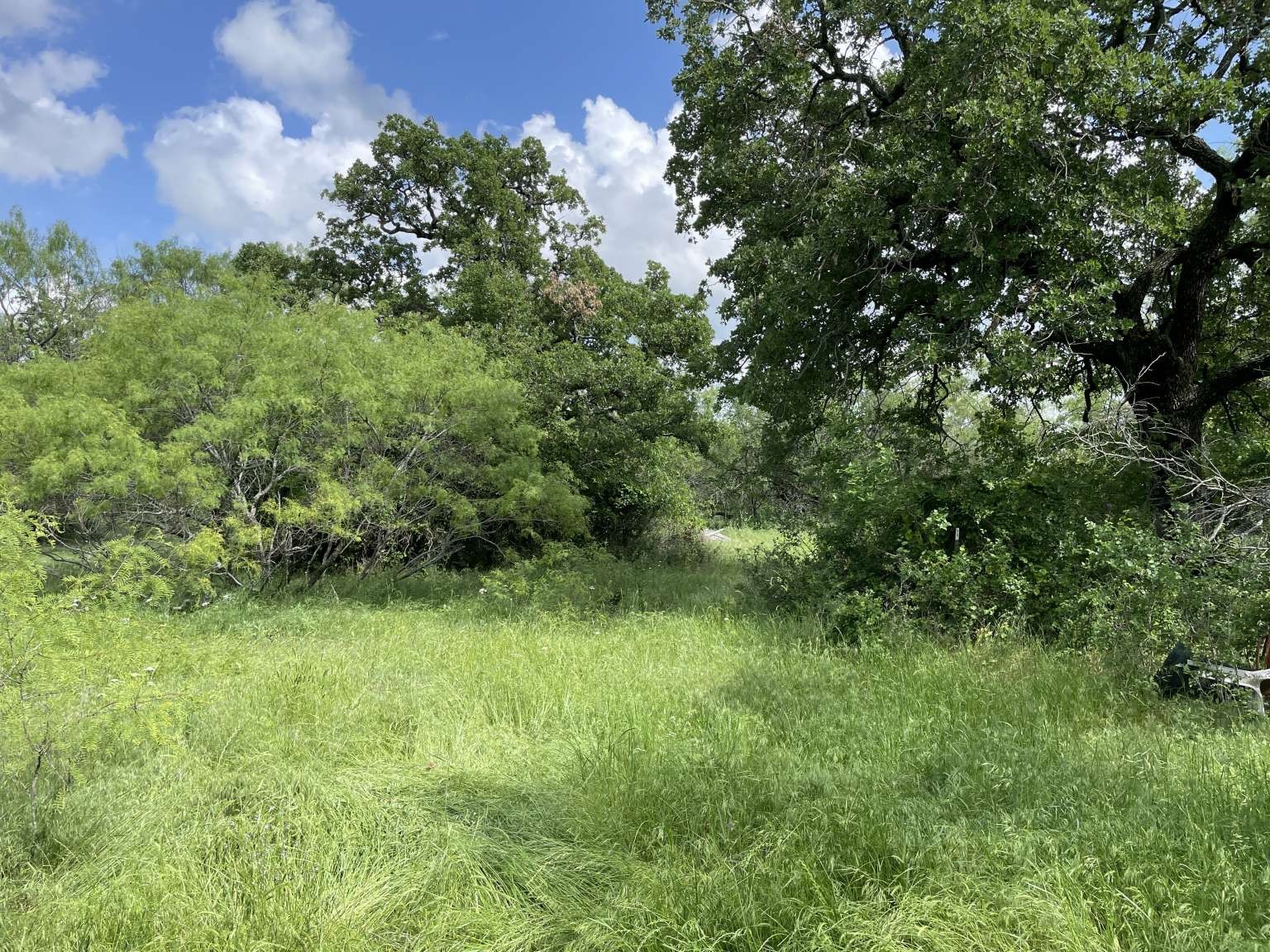 0 Cr-1990 Chico TX 76431