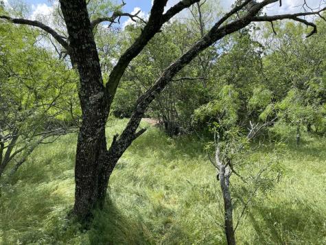 0 Cr-1990 Chico TX 76431