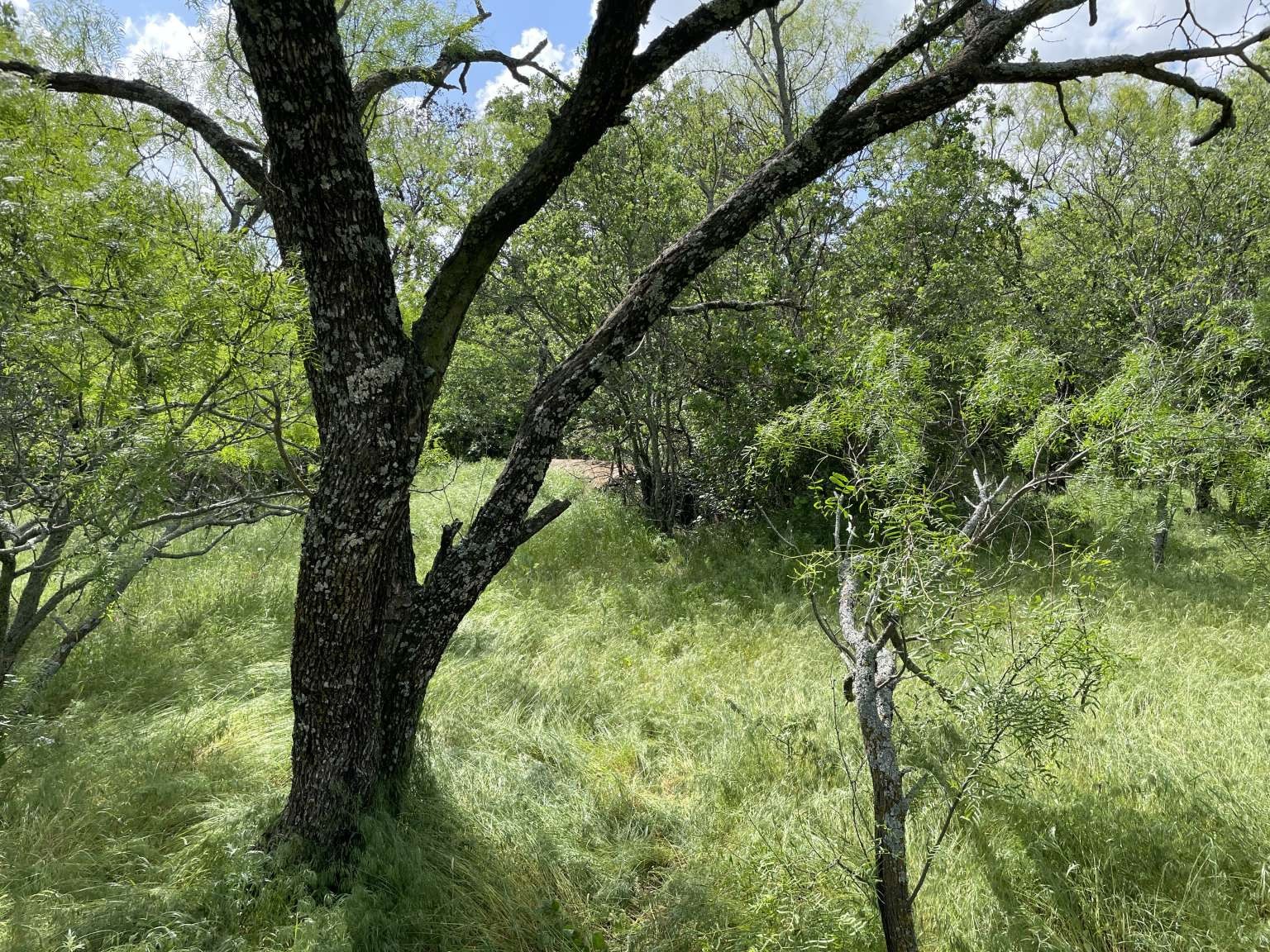 0 Cr-1990 Chico TX 76431