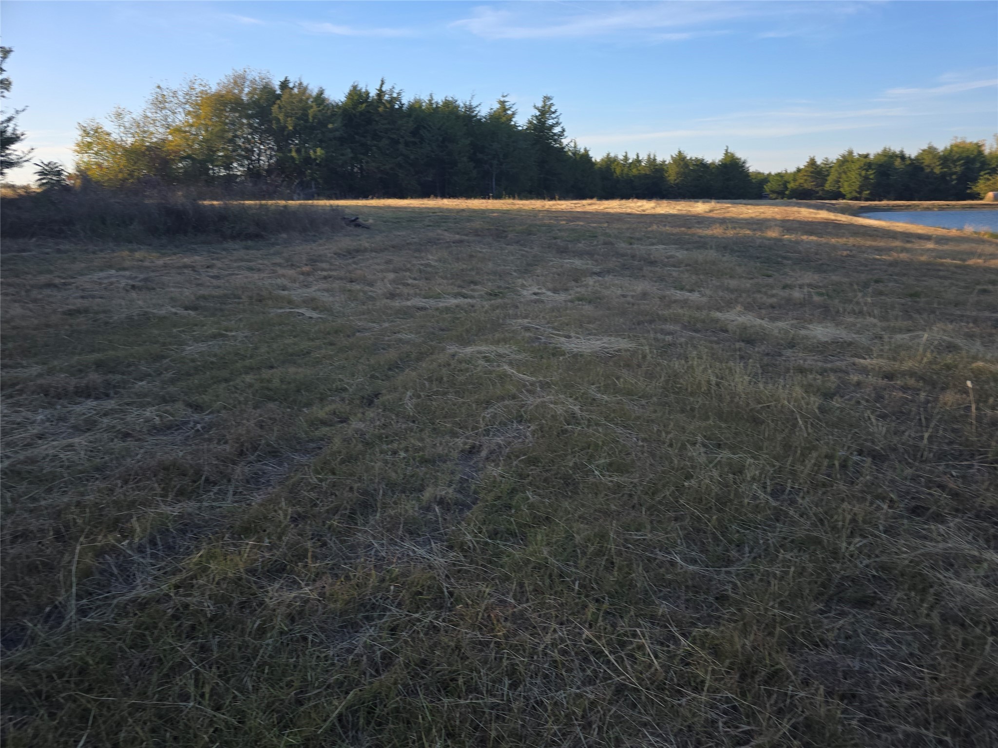 42ACRES Fm 38 Tx Honey Grove TX 75446