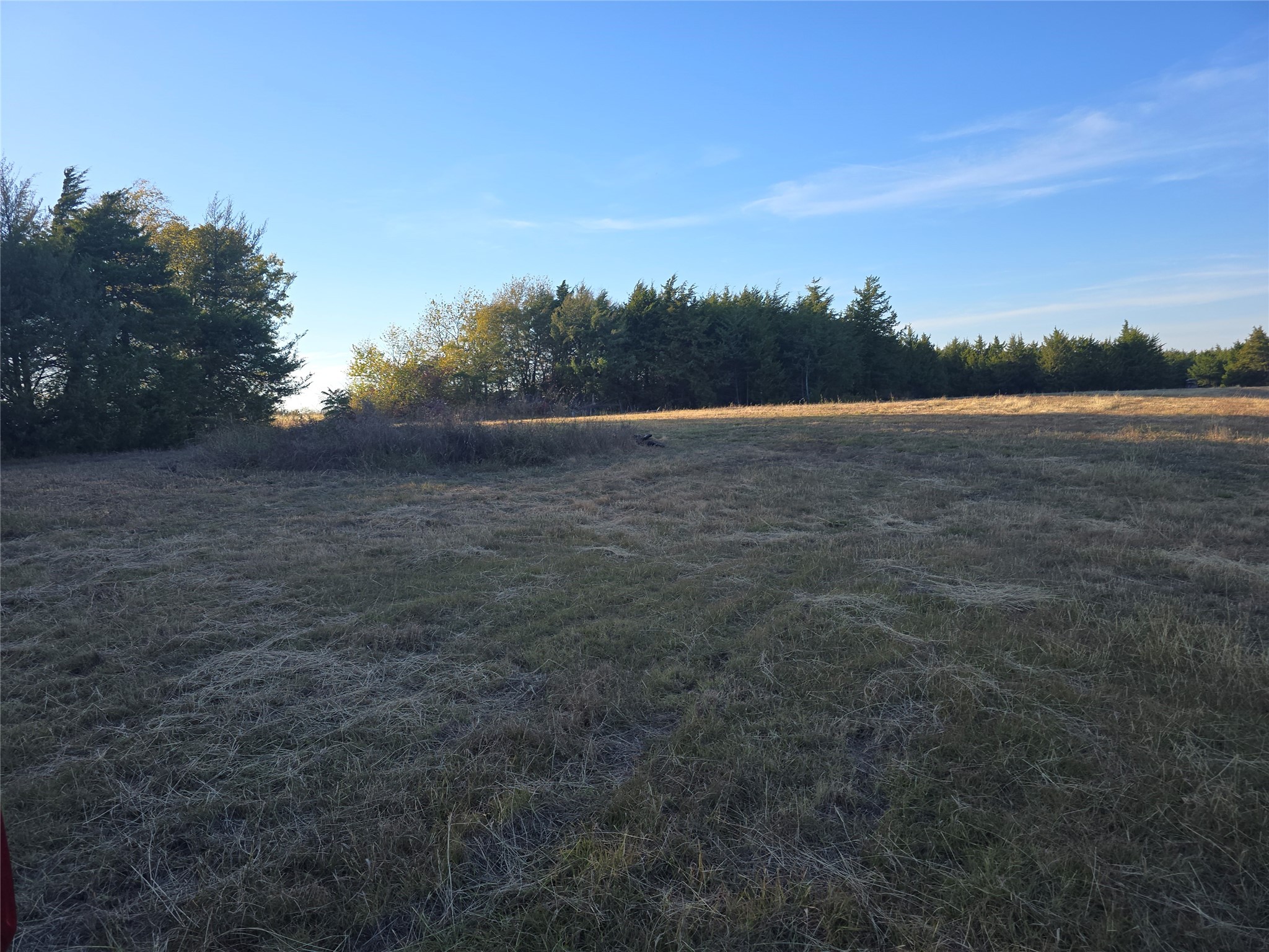 42ACRES Fm 38 Tx Honey Grove TX 75446
