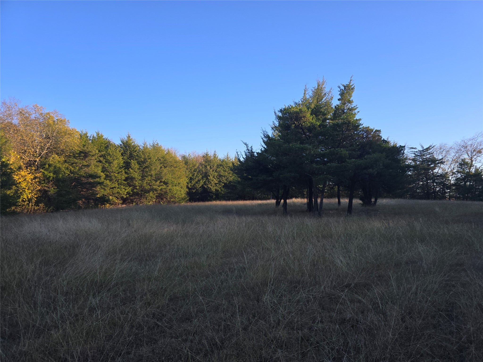 42ACRES Fm 38 Tx Honey Grove TX 75446
