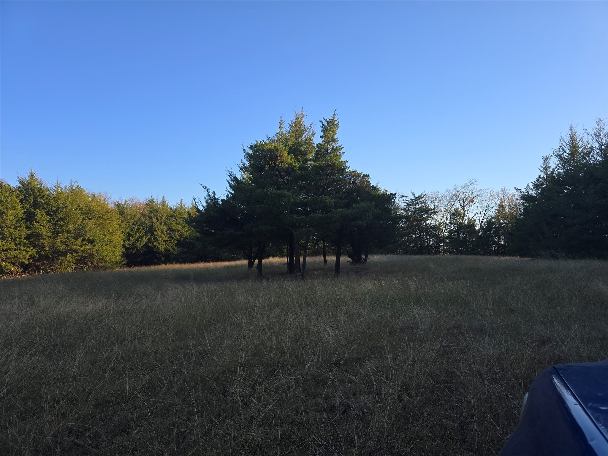 42ACRES Fm 38 Tx Honey Grove TX 75446