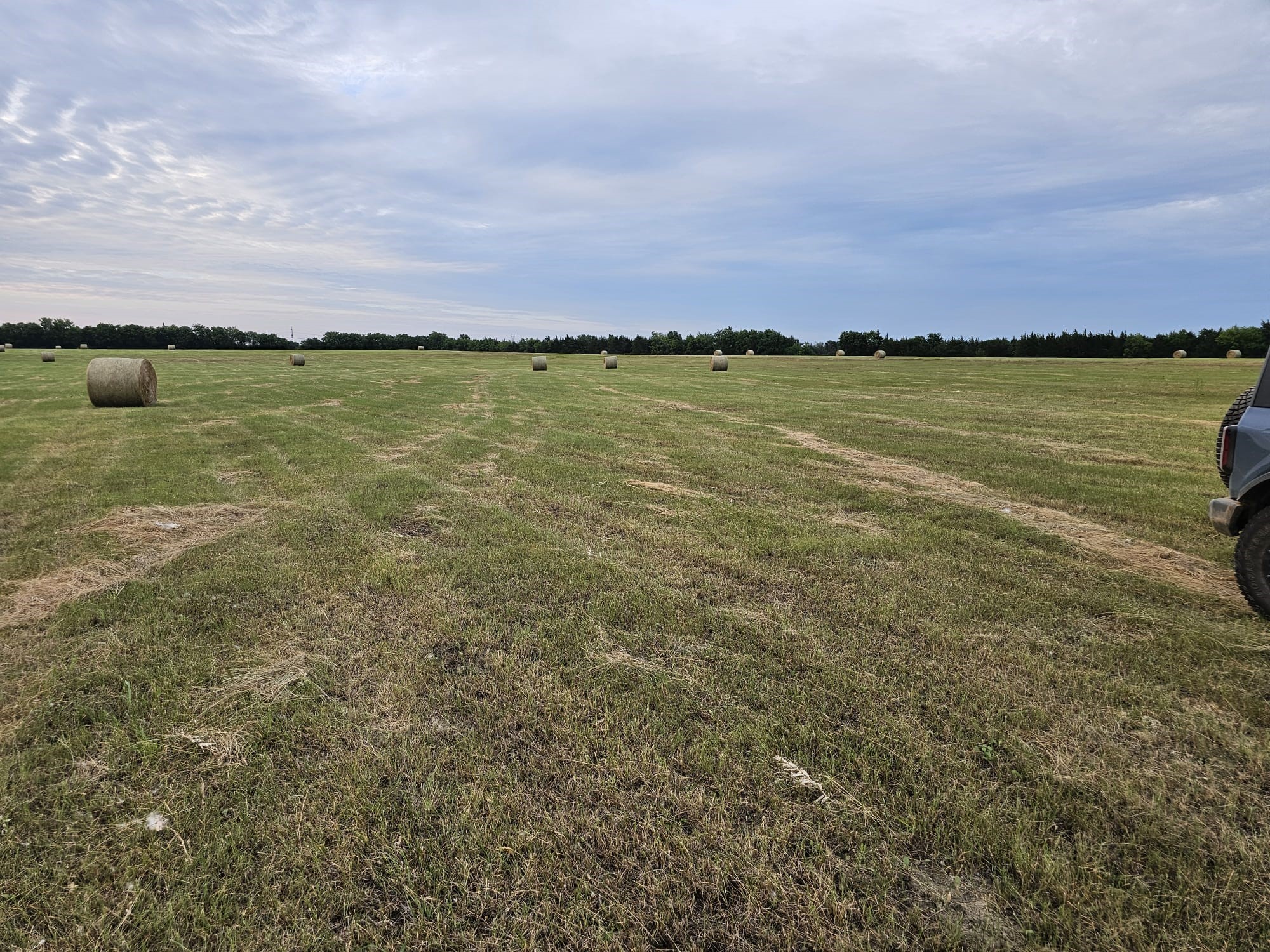 42ACRES Fm 38 Tx Honey Grove TX 75446
