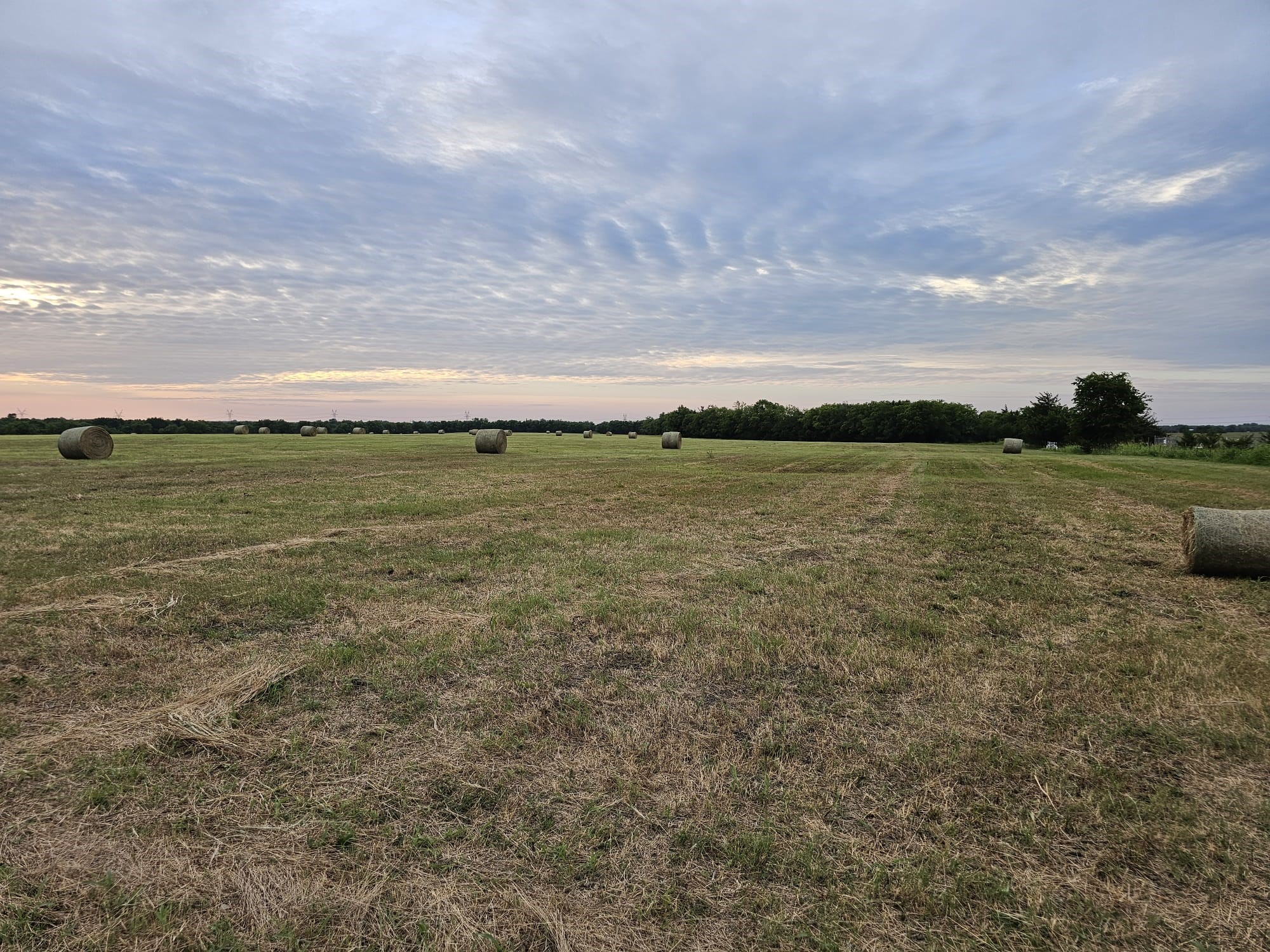 42ACRES Fm 38 Tx Honey Grove TX 75446