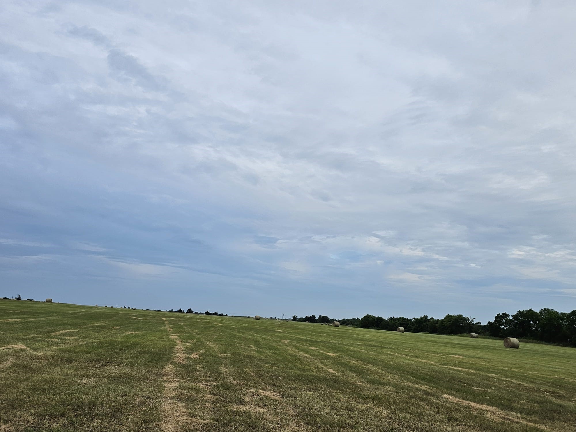 42ACRES Fm 38 Tx Honey Grove TX 75446