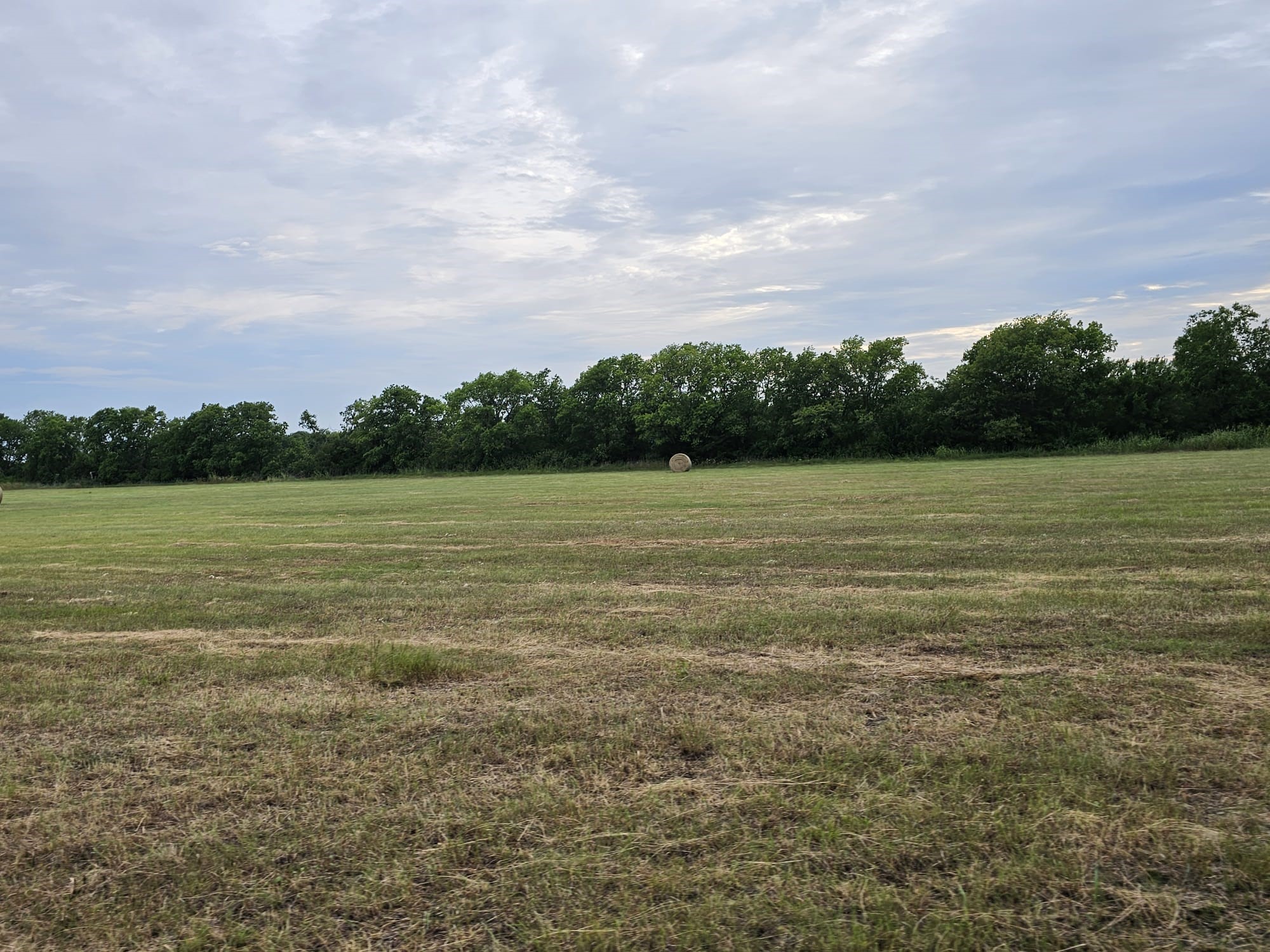 42ACRES Fm 38 Tx Honey Grove TX 75446