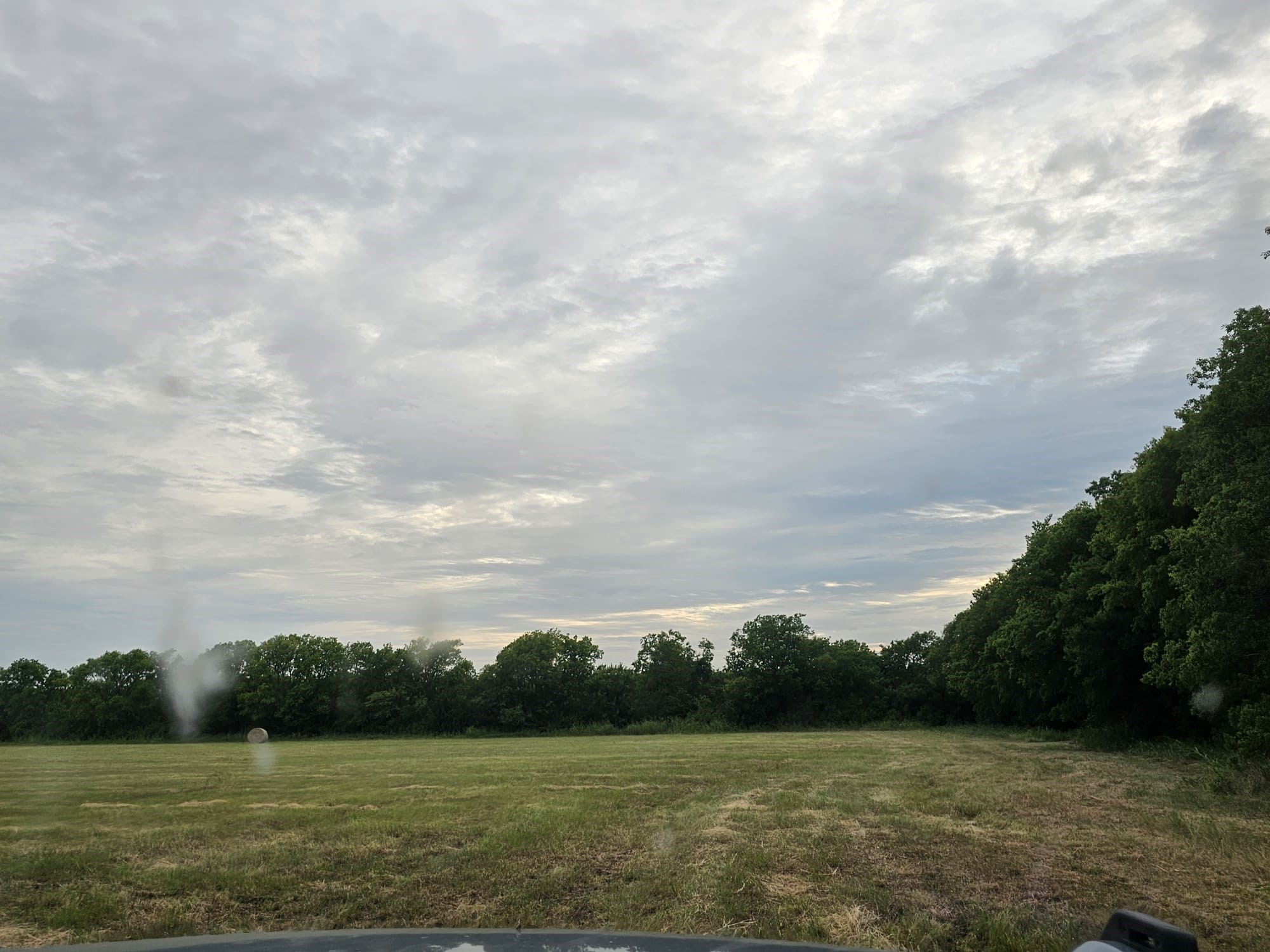 42ACRES Fm 38 Tx Honey Grove TX 75446