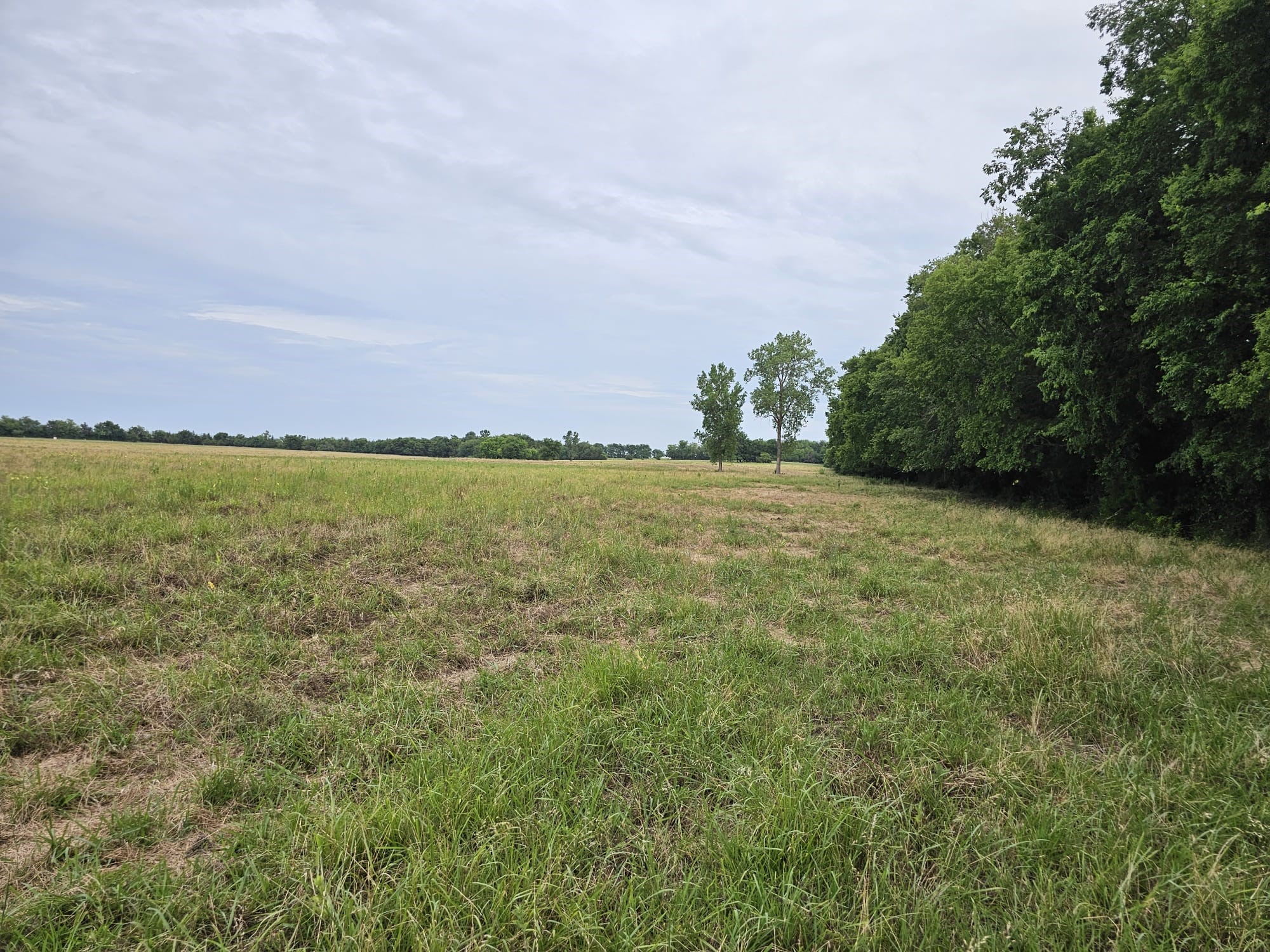 42ACRES Fm 38 Tx Honey Grove TX 75446