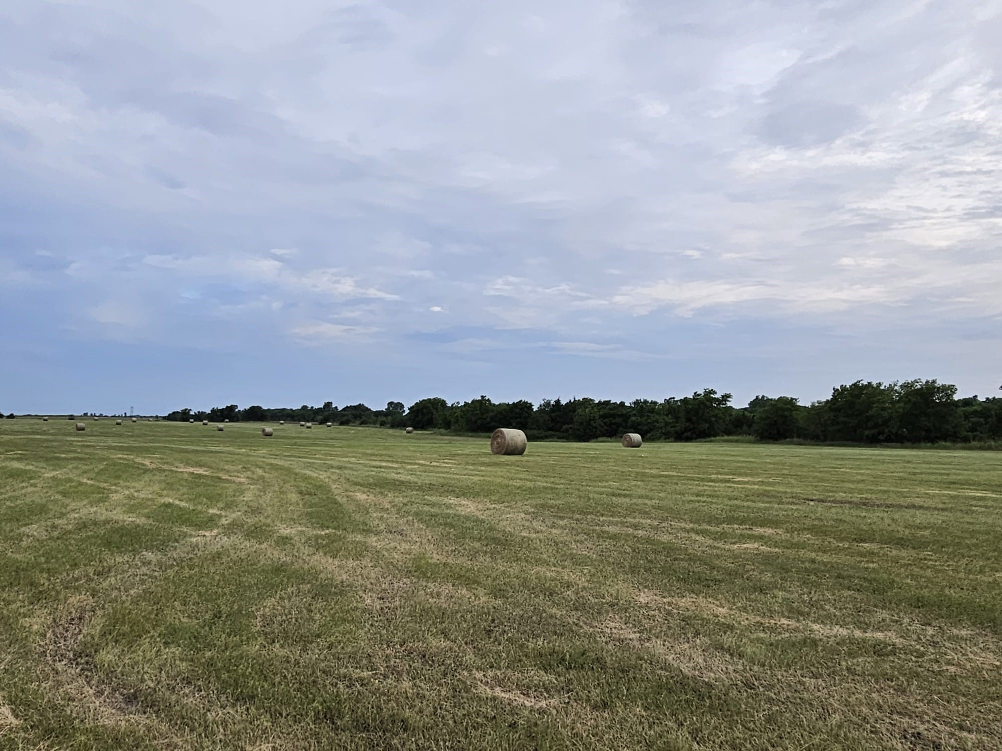 42ACRES Fm 38 Tx Honey Grove TX 75446