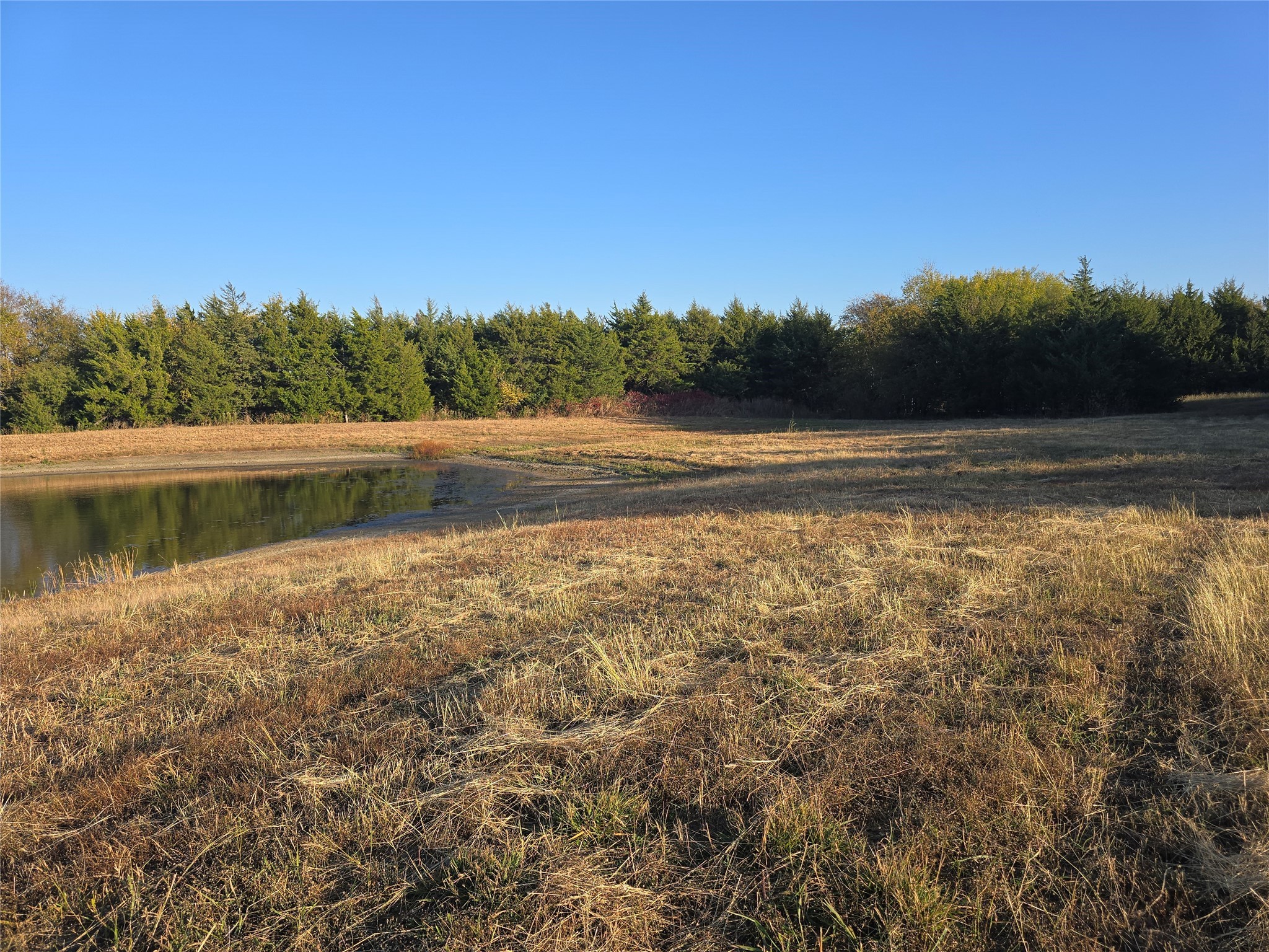 42ACRES Fm 38 Tx Honey Grove TX 75446