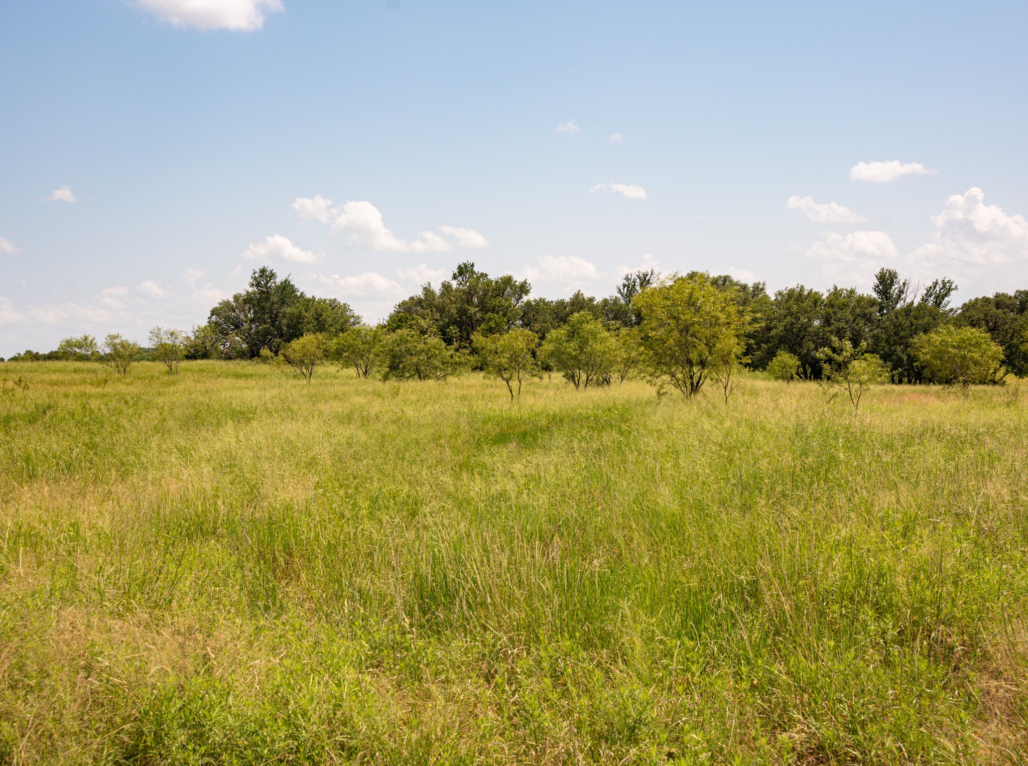 2217 River Shoals Road Mineral Wells TX 76067