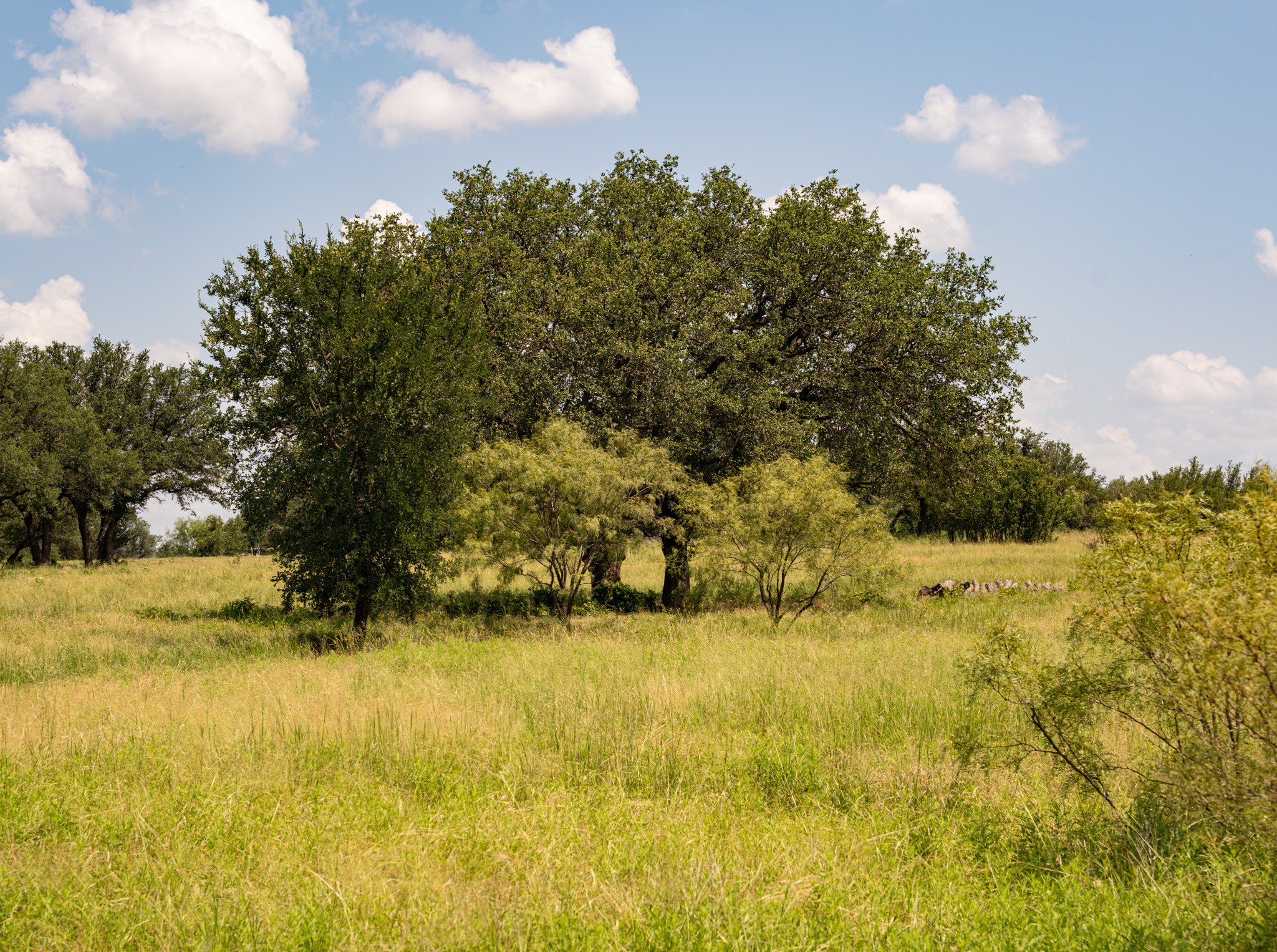 2217 River Shoals Road Mineral Wells TX 76067