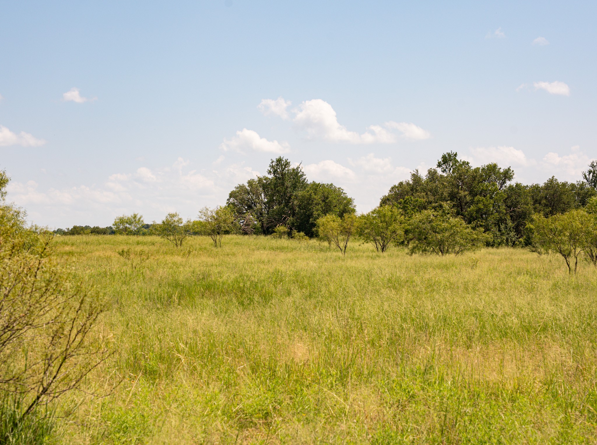 2217 River Shoals Road Mineral Wells TX 76067