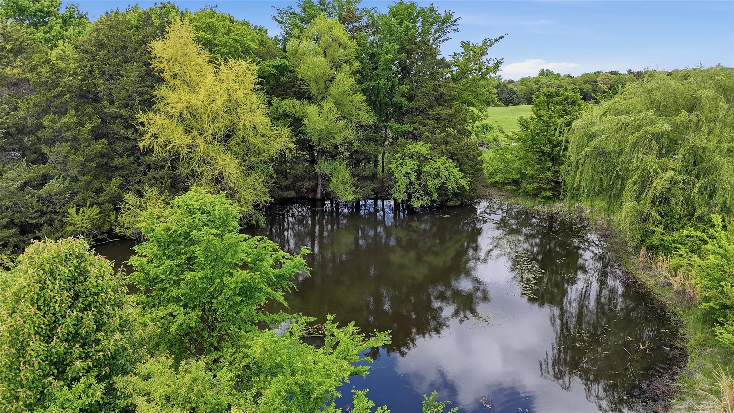 155 Basin Springs Road Sadler TX 76264